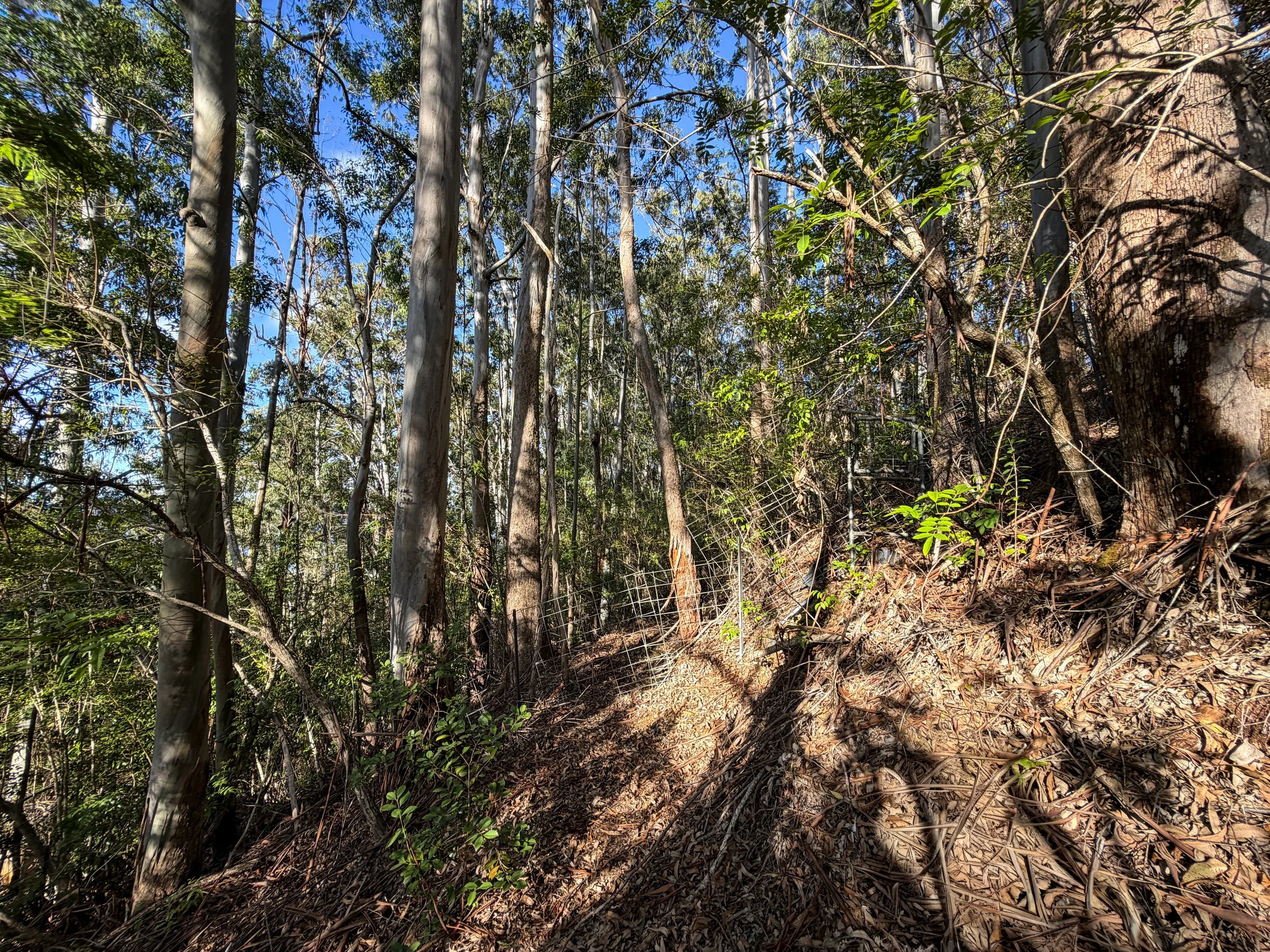 Mokuleia Trail Oahu Hawaii