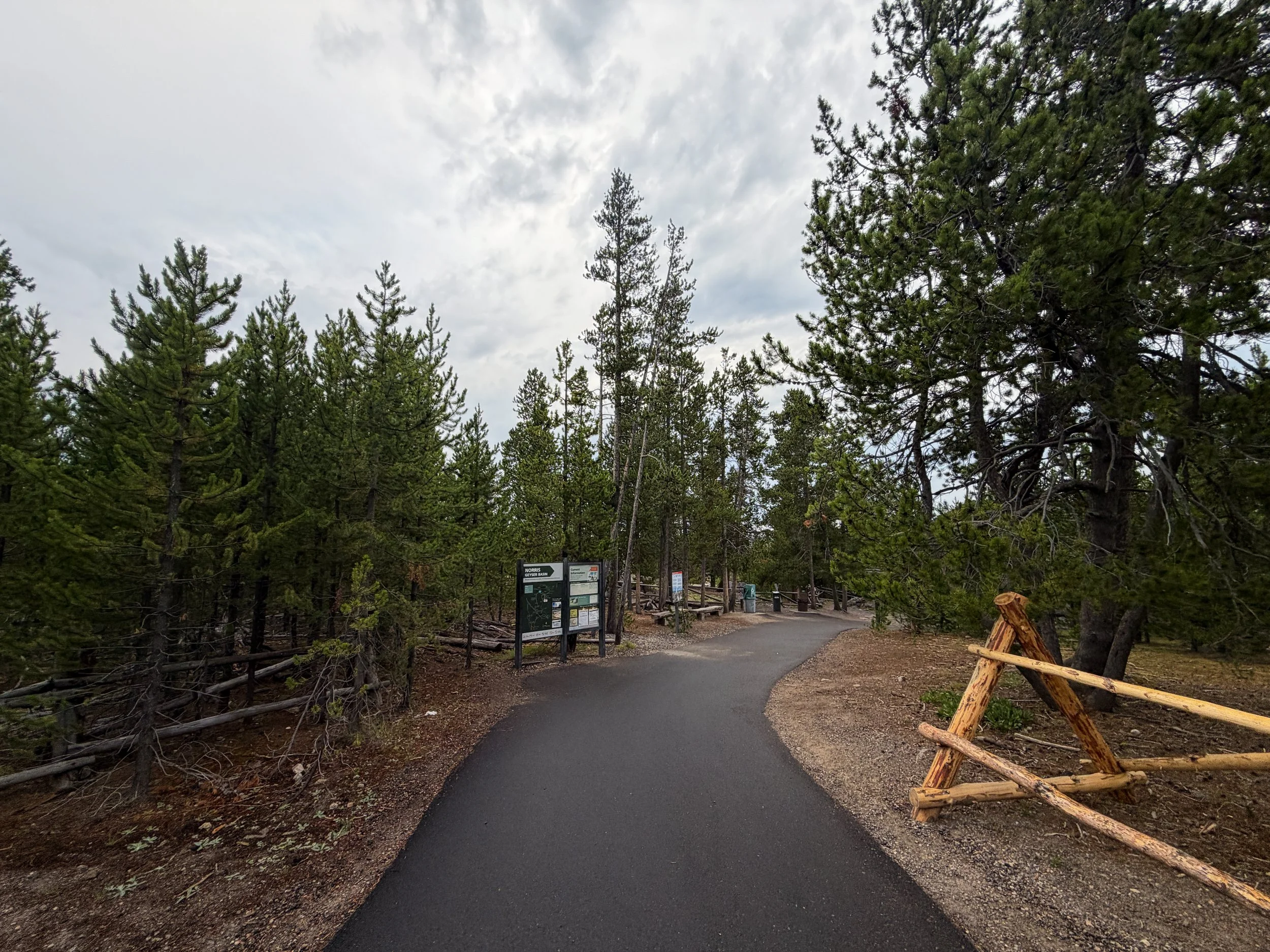 Norris Geyser Basin Trail Yellowstone National Park Wyoming