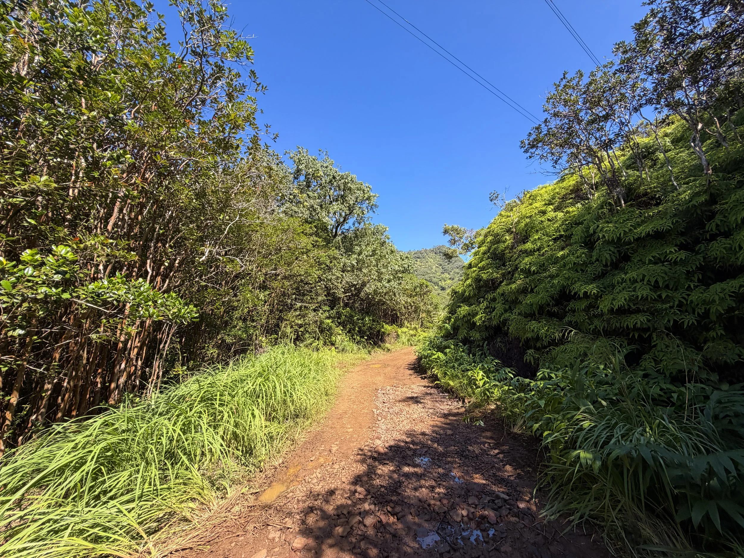Kulanaahane Trail Oahu Hawaii