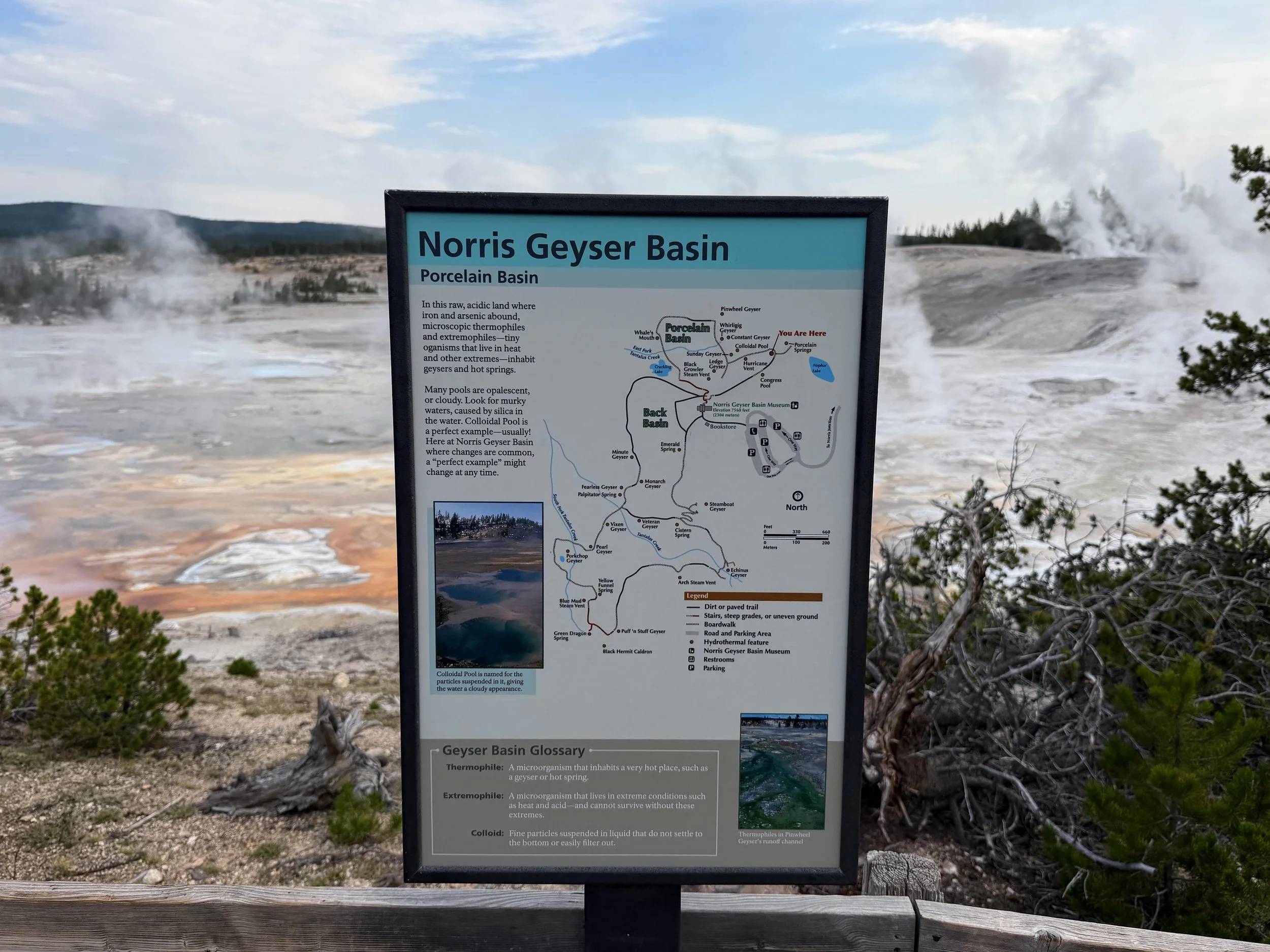 Porcelain Basin Norris Geyser Basin Trail Yellowstone National Park Wyoming