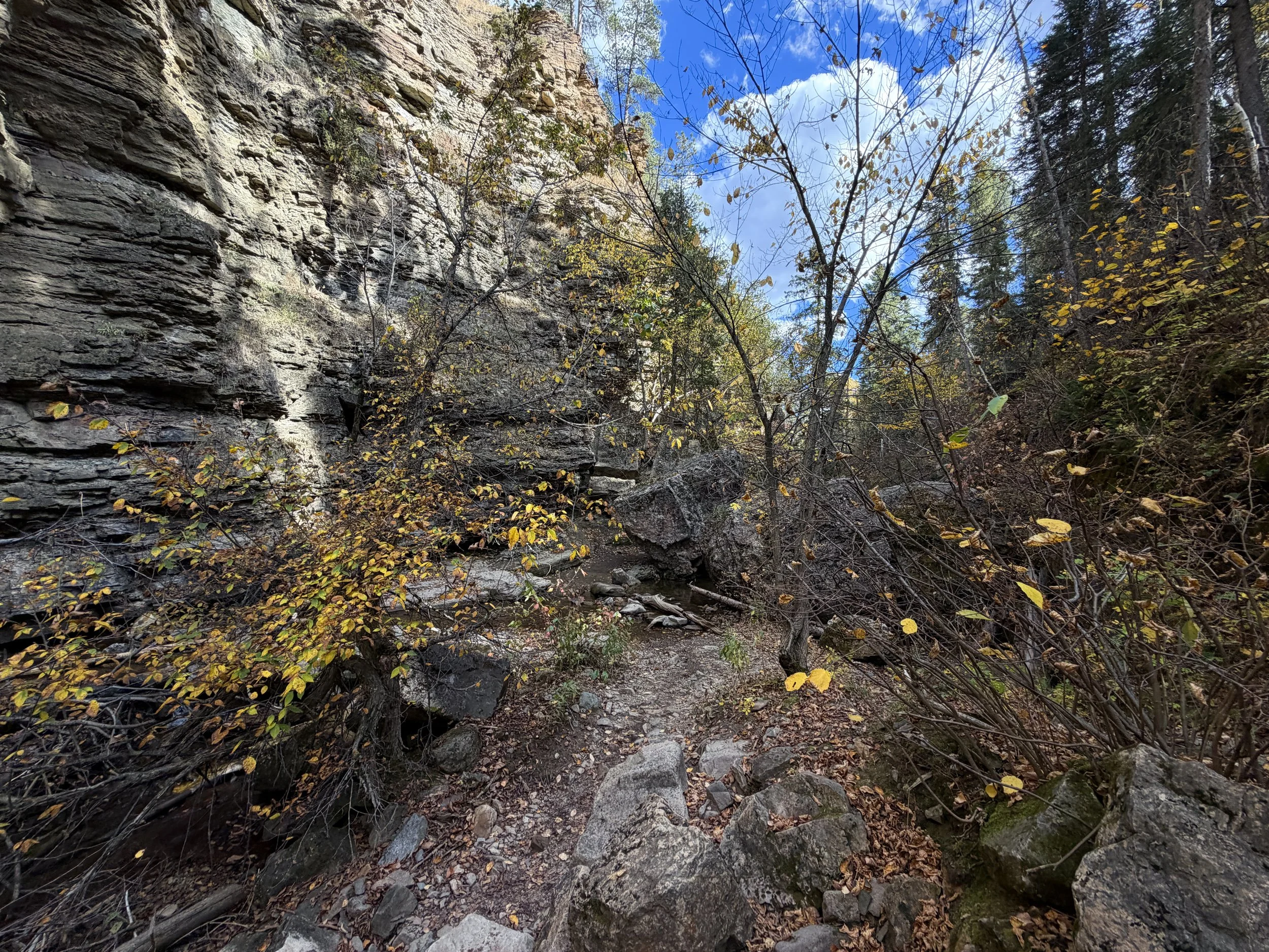Devils Bathtub Trail Spearfish Canyon Black Hills South Dakota