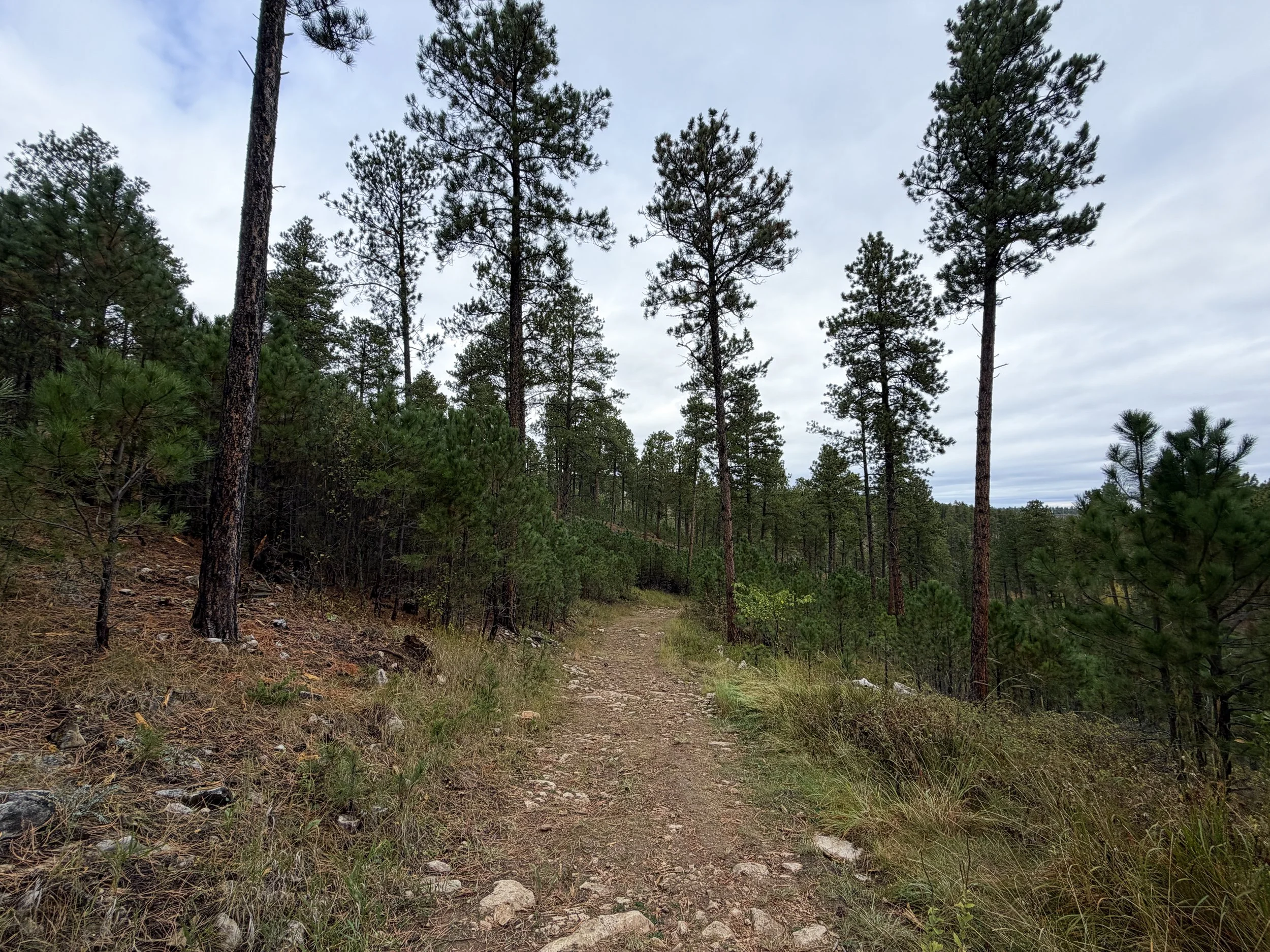 Buzzards Roost Loop Hike Black Hills Rapid City South Dakota