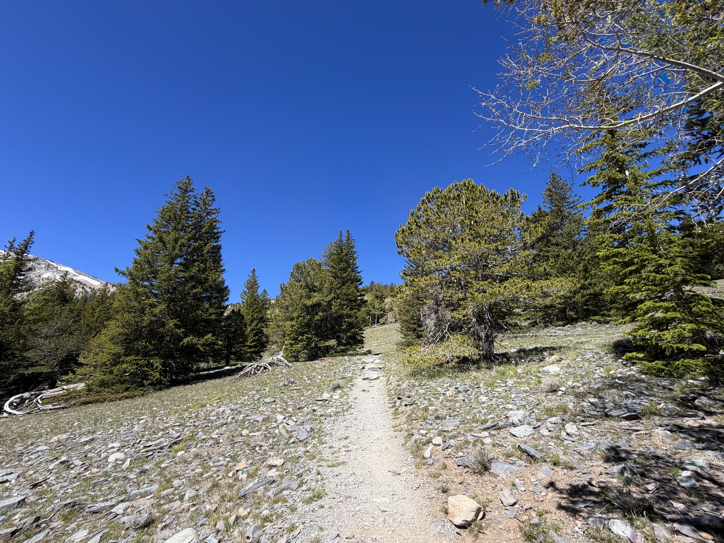 Alpine Lakes Hike Great Basin National Park Nevada