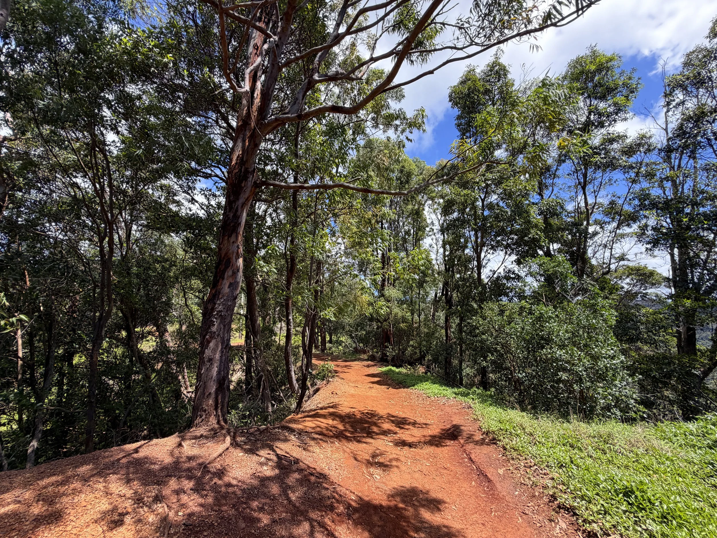 Manana Ridge Trail to Waimano Pools Oahu Hawaii