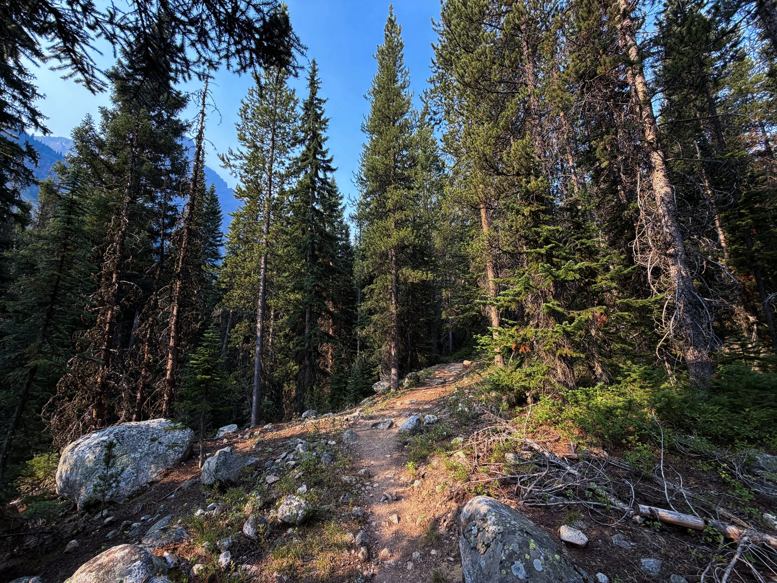 Beaten Path Trail Beartooth Mountains Montana