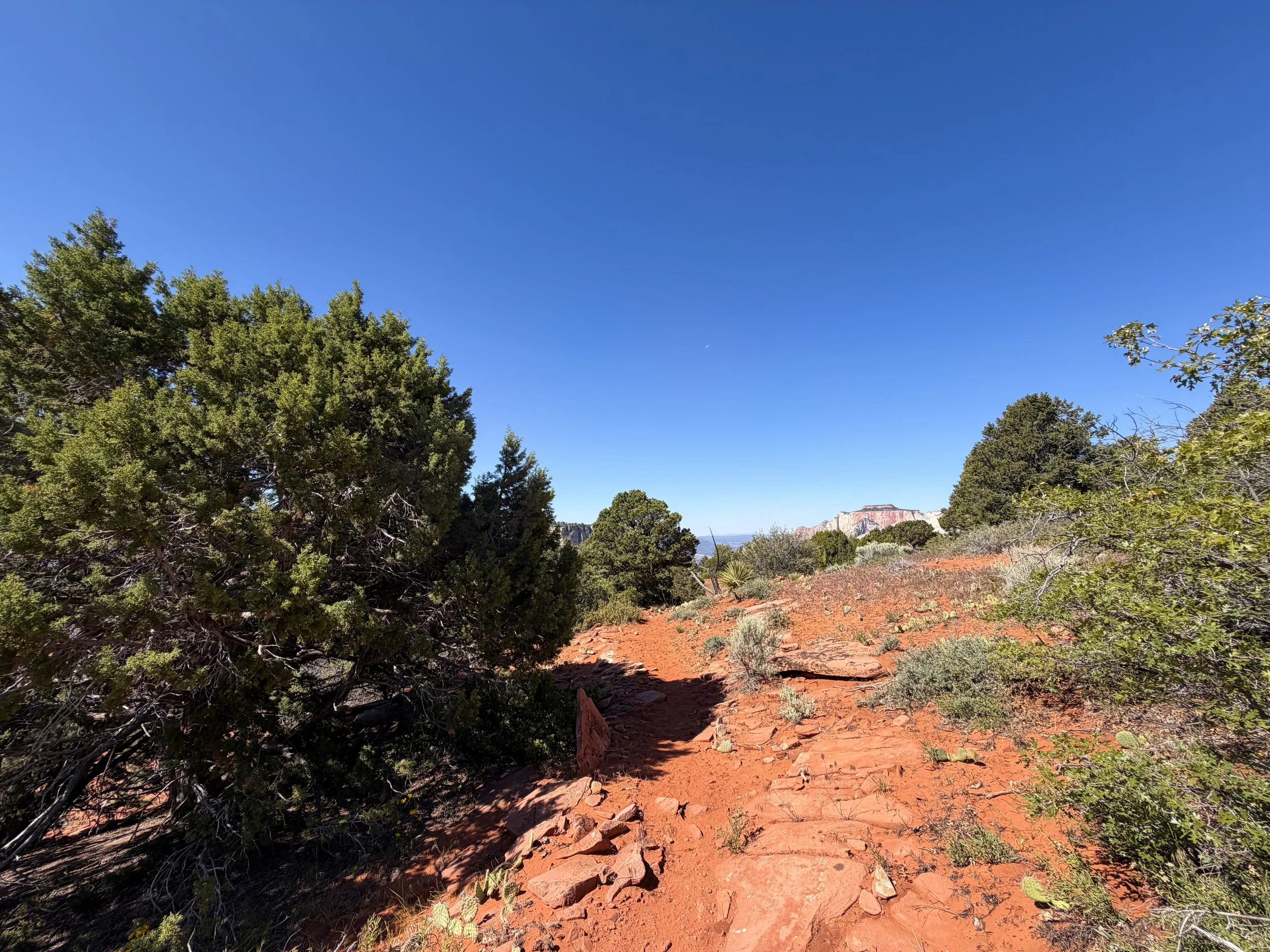 Deertrap Mountain Trail Zion National Park Utah