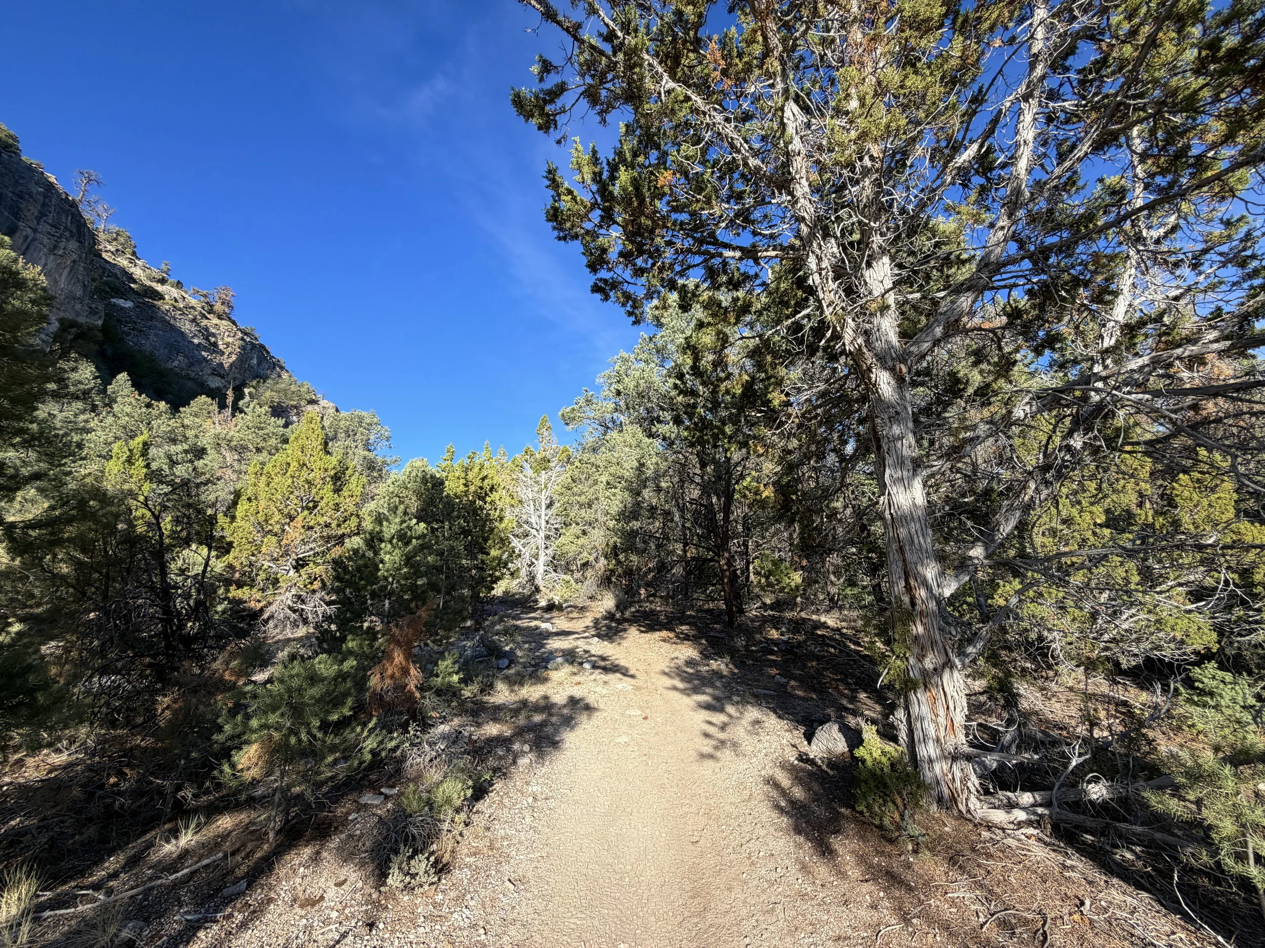Pole Canyon Trail Great Basin National Park Nevada