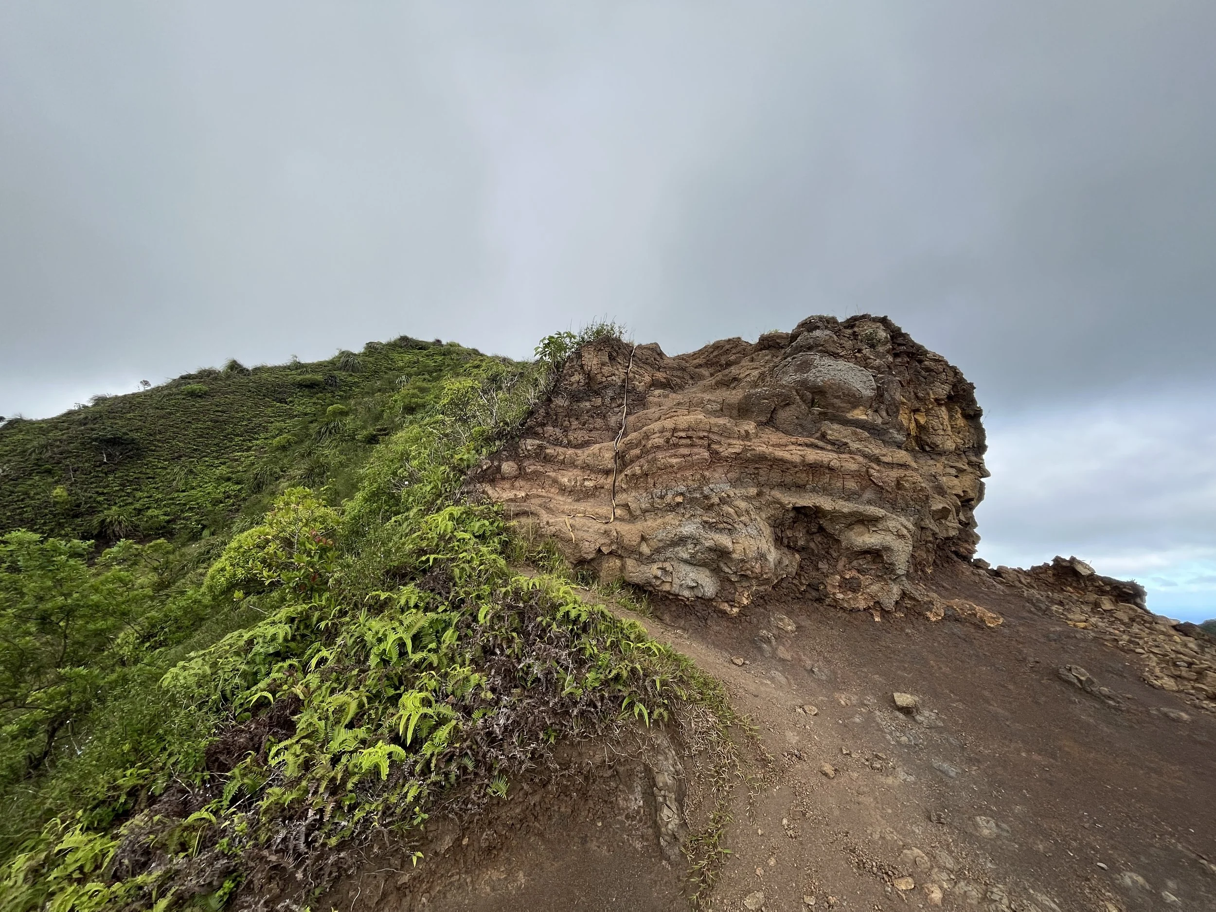 Hiking the Puʻu ʻO Kona Trail via Kuliʻouʻou Valley on Oʻahu — noahawaii