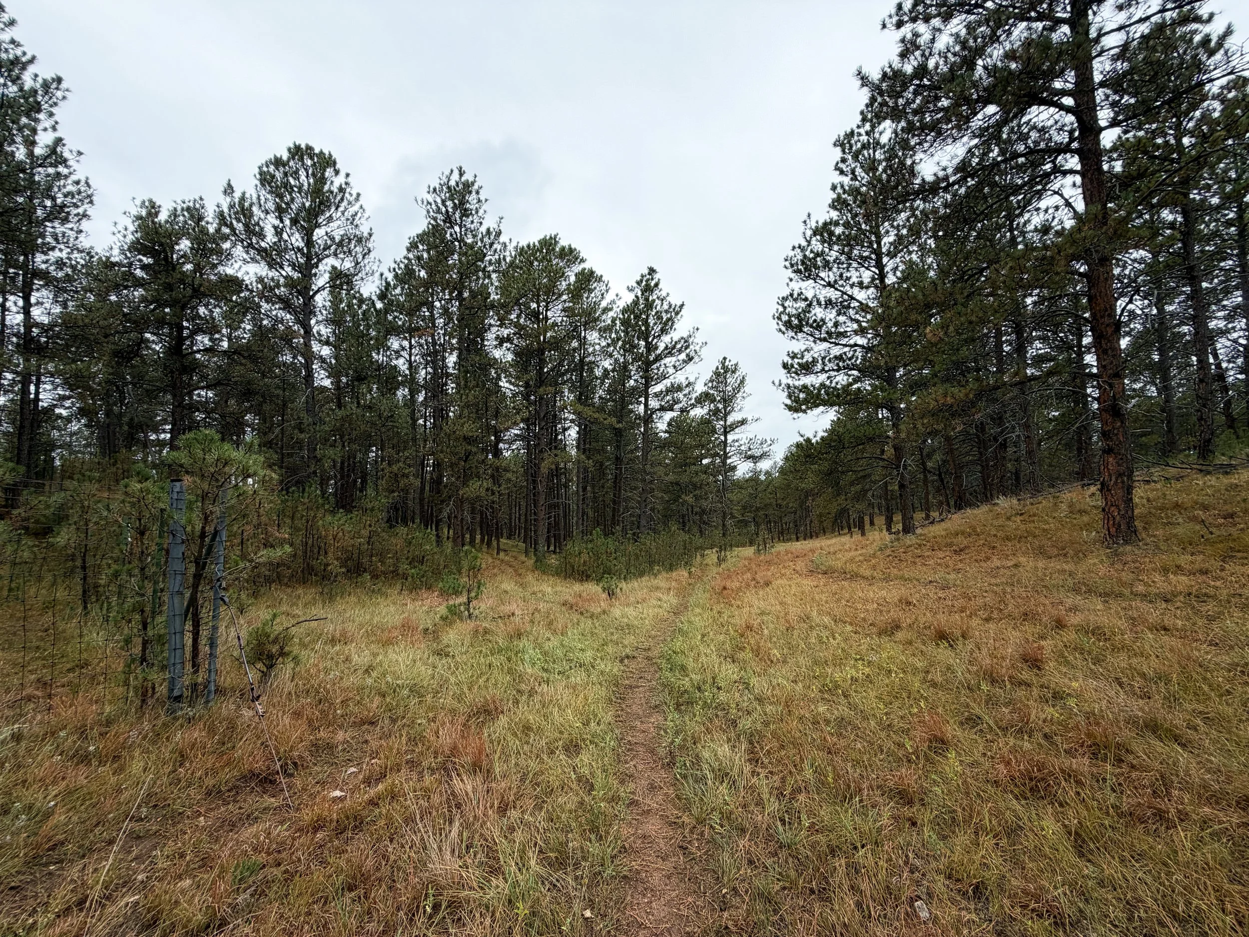 Highland Creek Hike Wind Cave National Park South Dakota