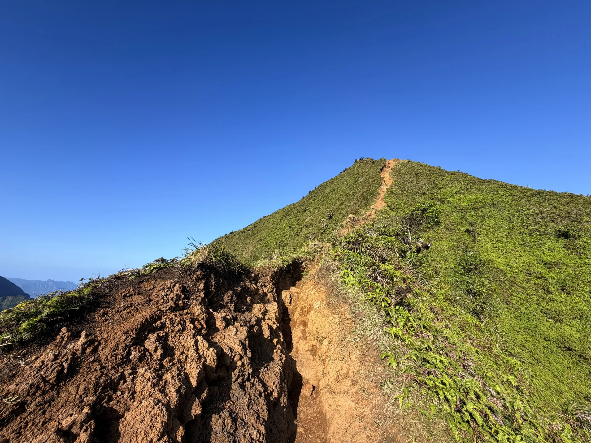 Moanalua Middle Ridge Trail Back Way to Stairway to Heaven Oahu Hawaii