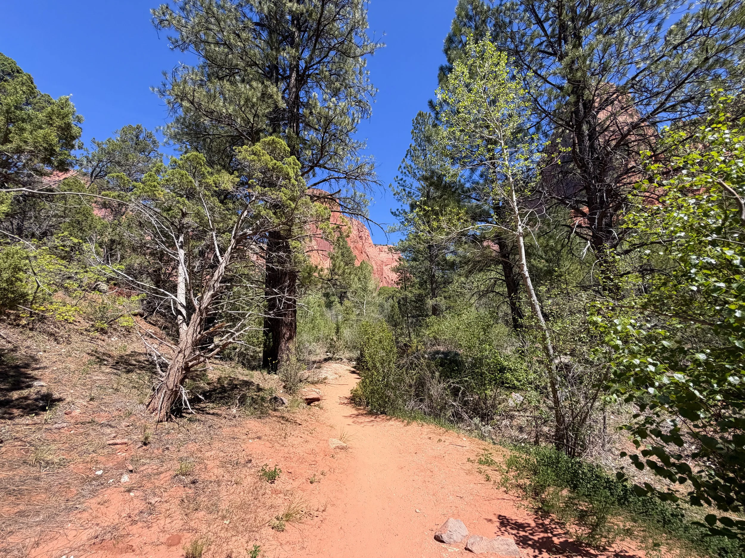 Middle Taylor Creek Trail to Double Arch Alcove Zion National Park Utah