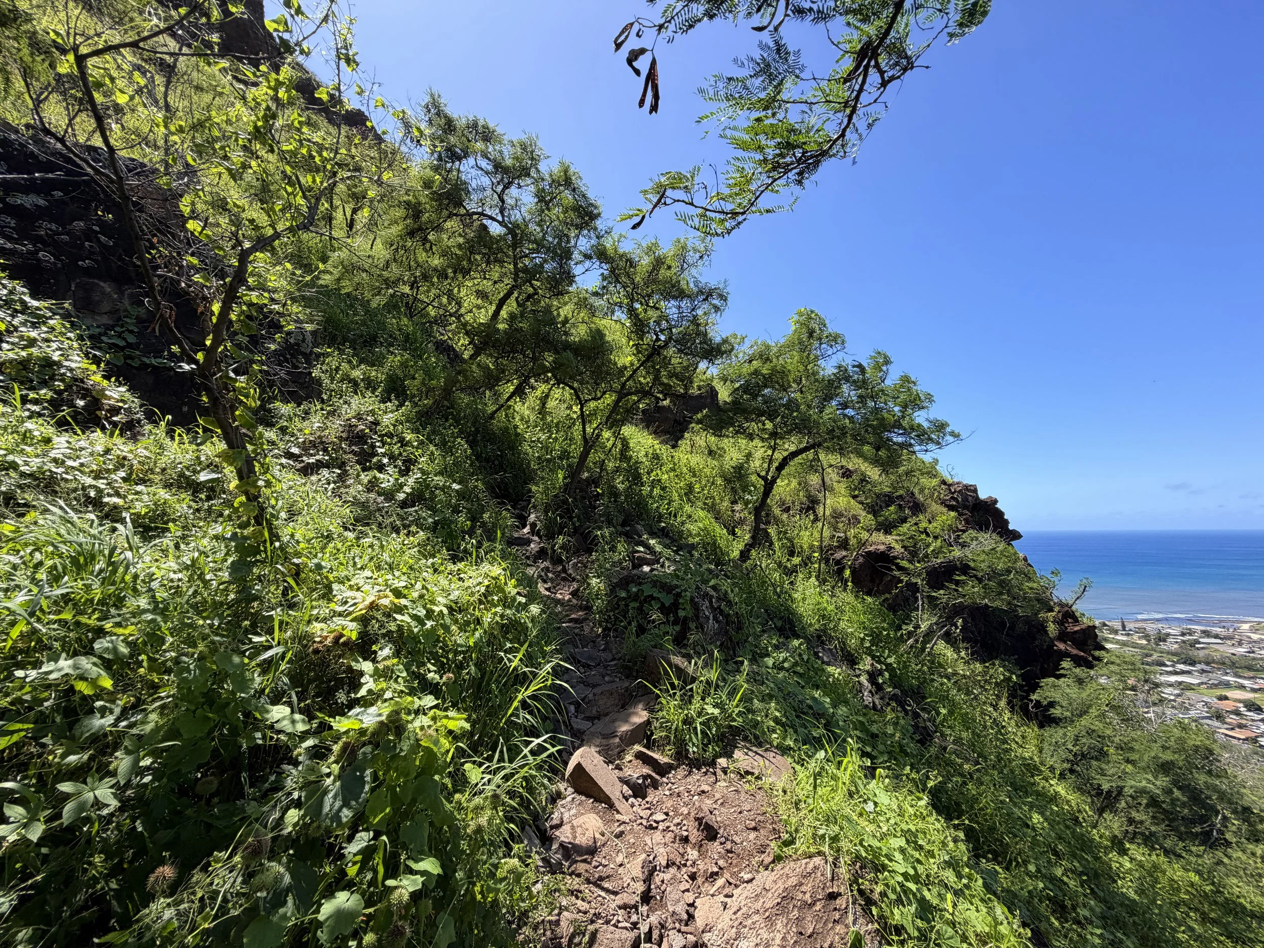 Pink Pillbox Hike Oahu Hawaii