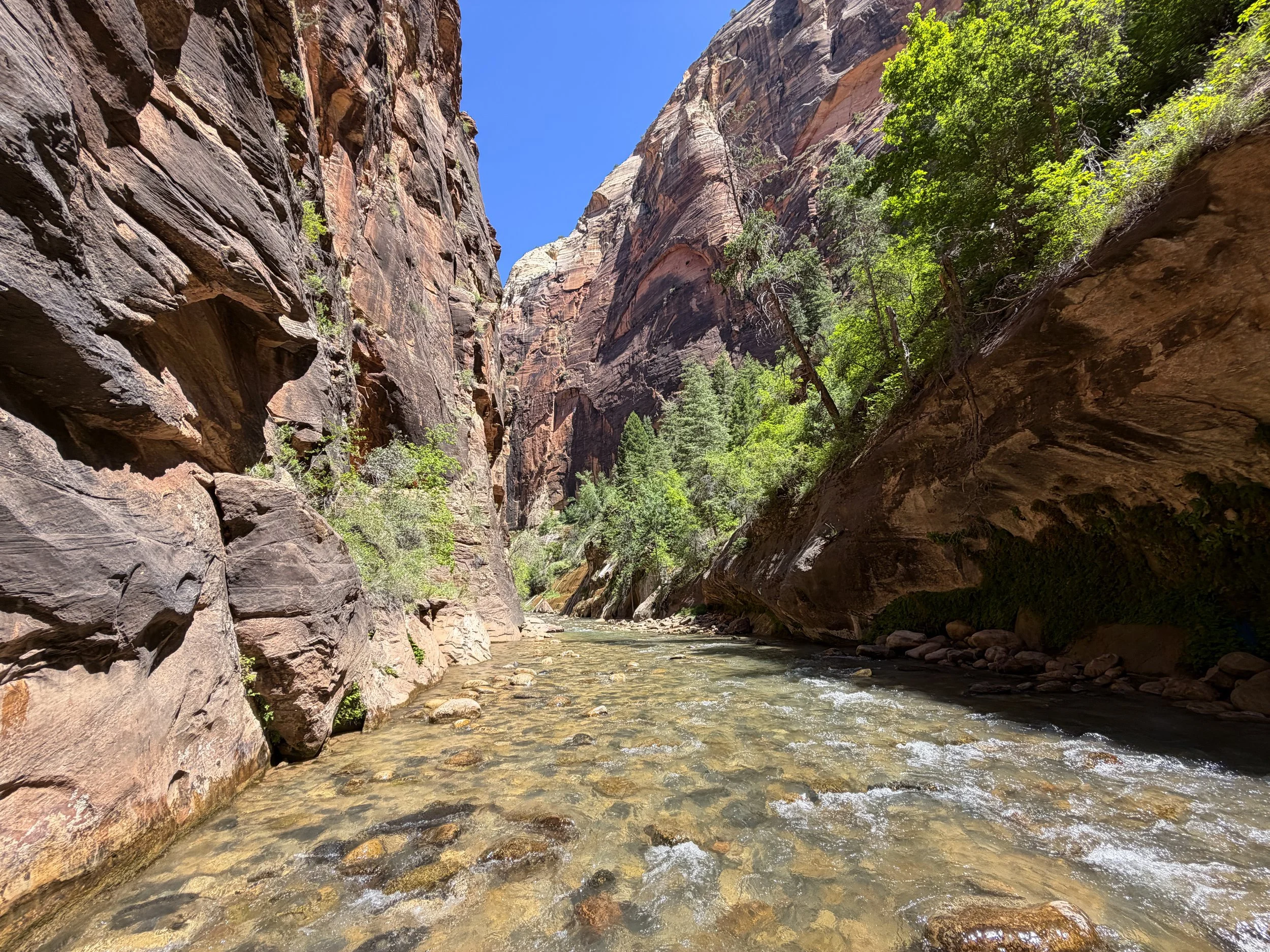 Narrows Hike Zion National Park Utah