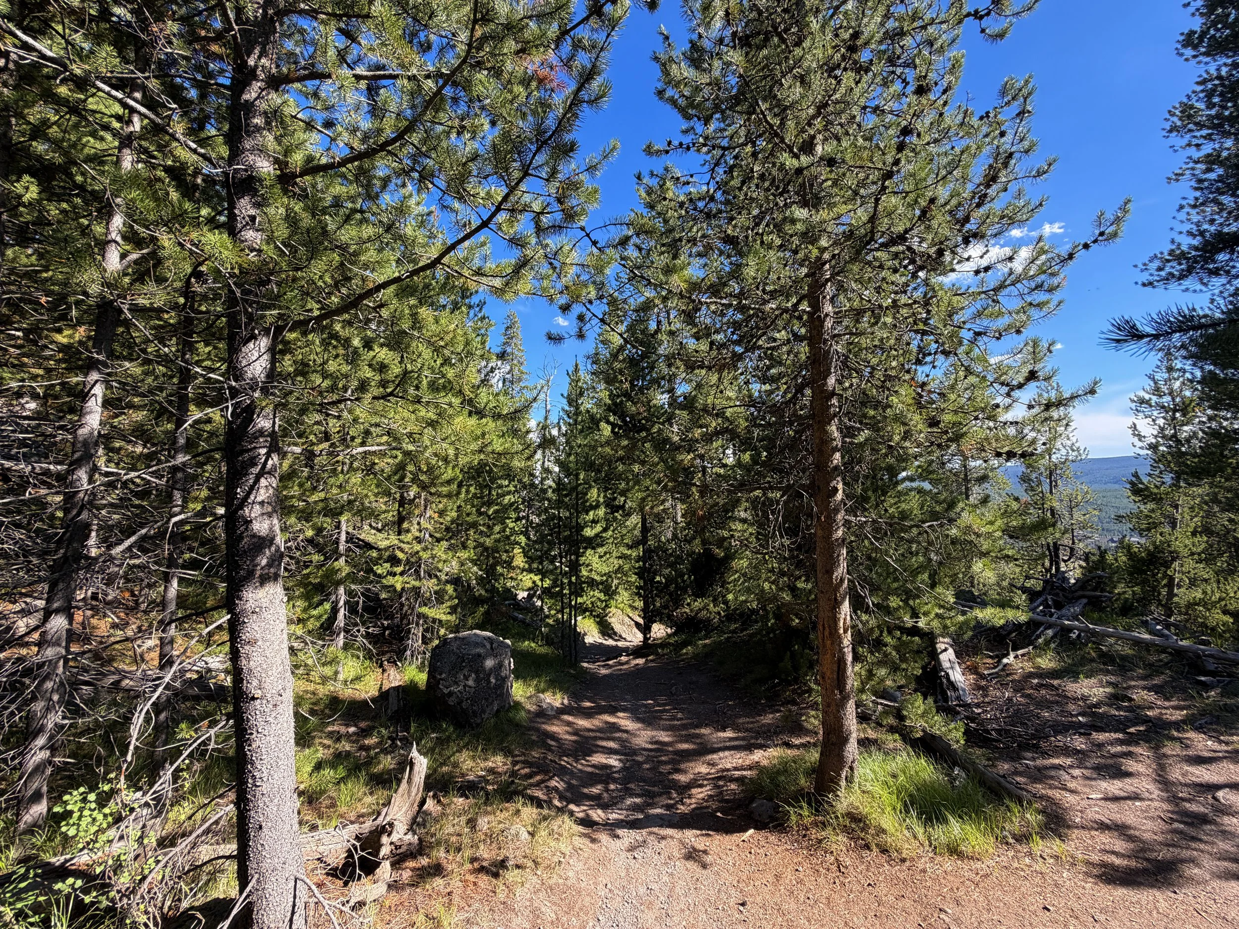Observation Point Loop Trail Yellowstone National Park Wyoming