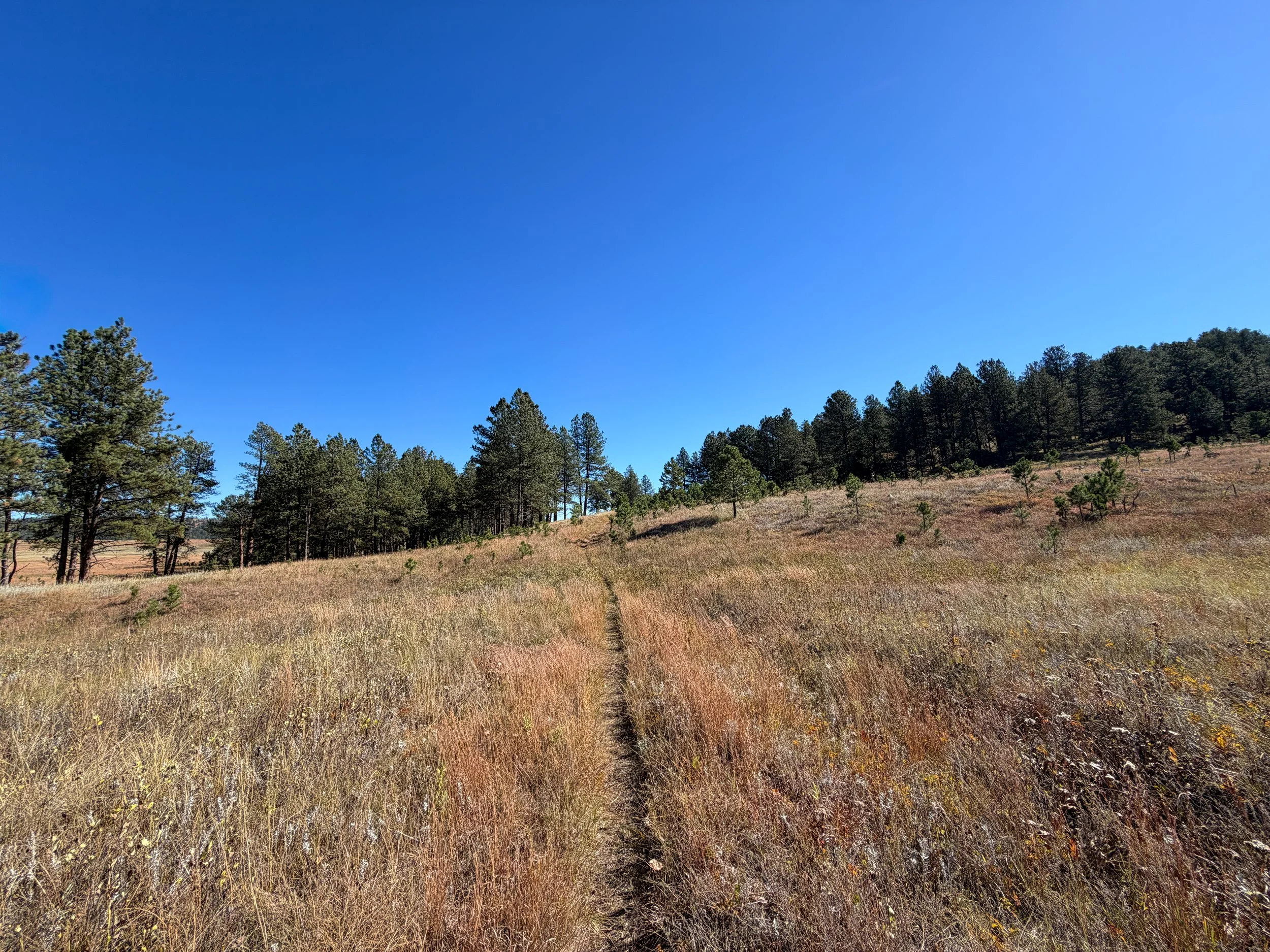 Sanctuary Trail Wind Cave National Park South Dakota