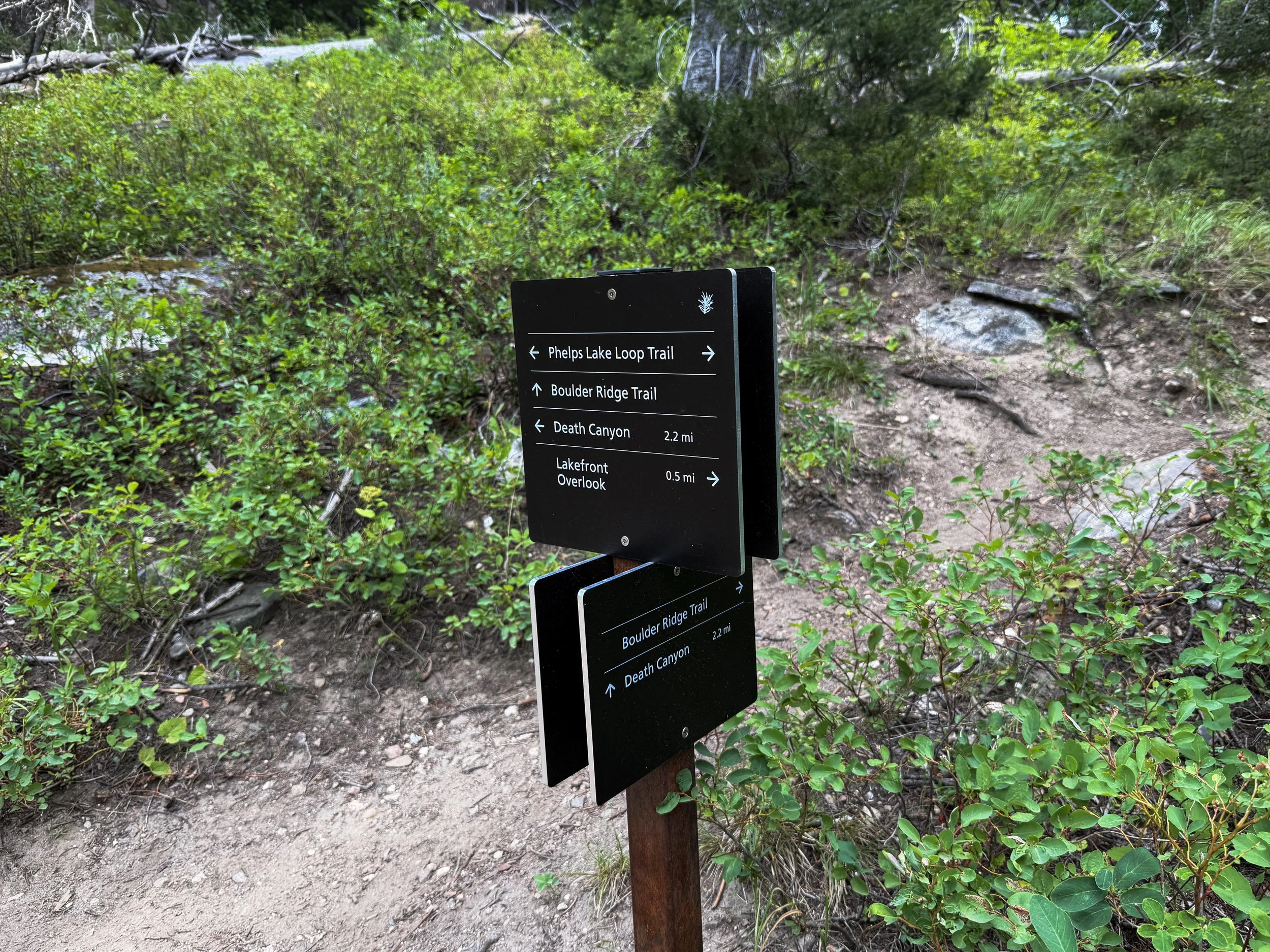 Boulder Ridge Loop Trail Grand Teton National Park Wyoming