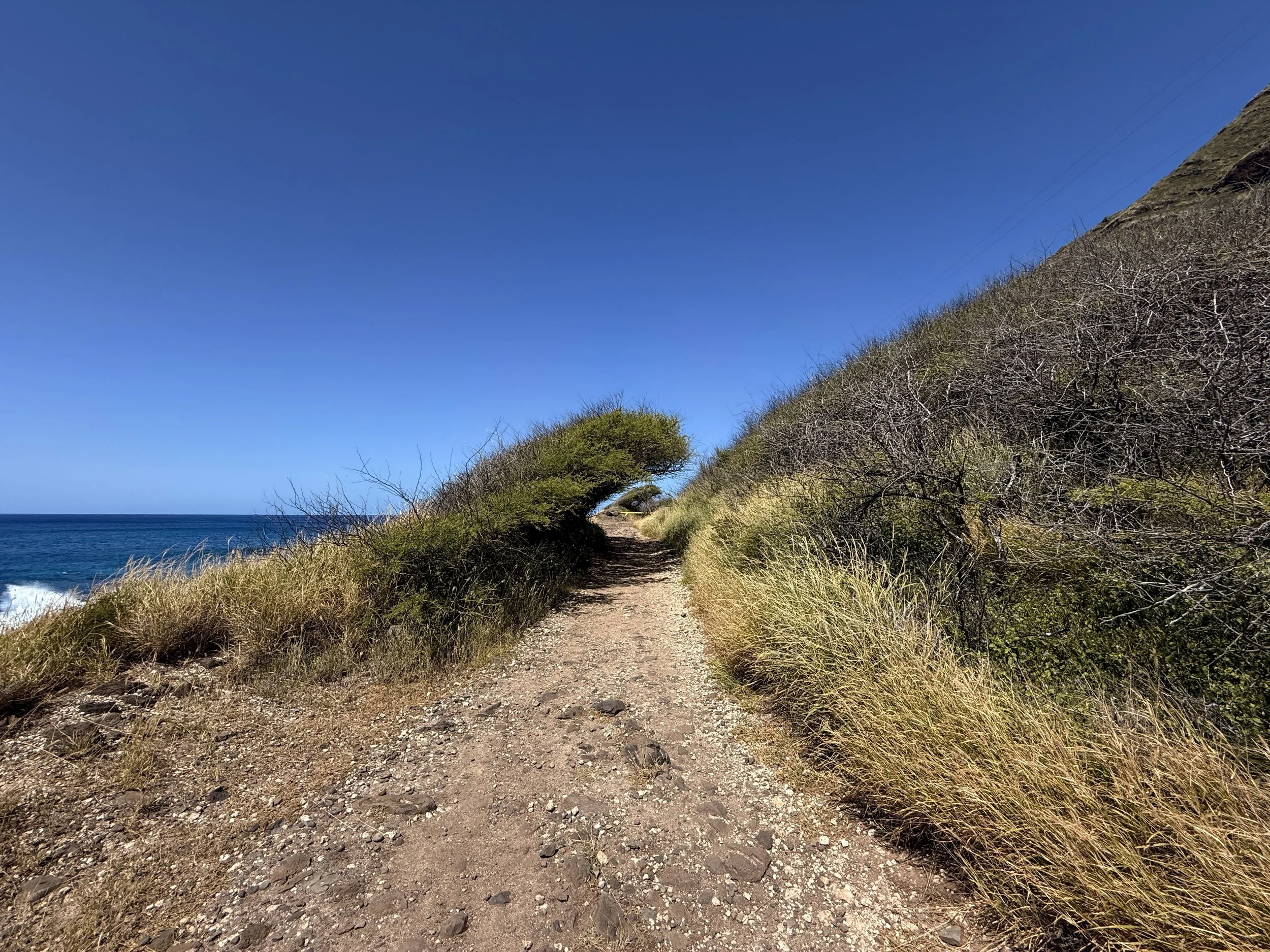 Hiking the Kaʻena Point Trail & Pillbox on the West Side of Oʻahu ...