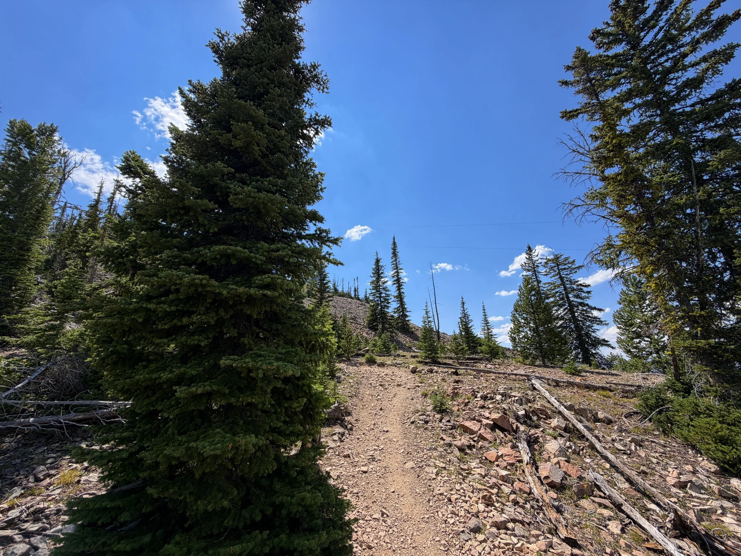 Bunsen Peak Trail Yellowstone National Park Wyoming