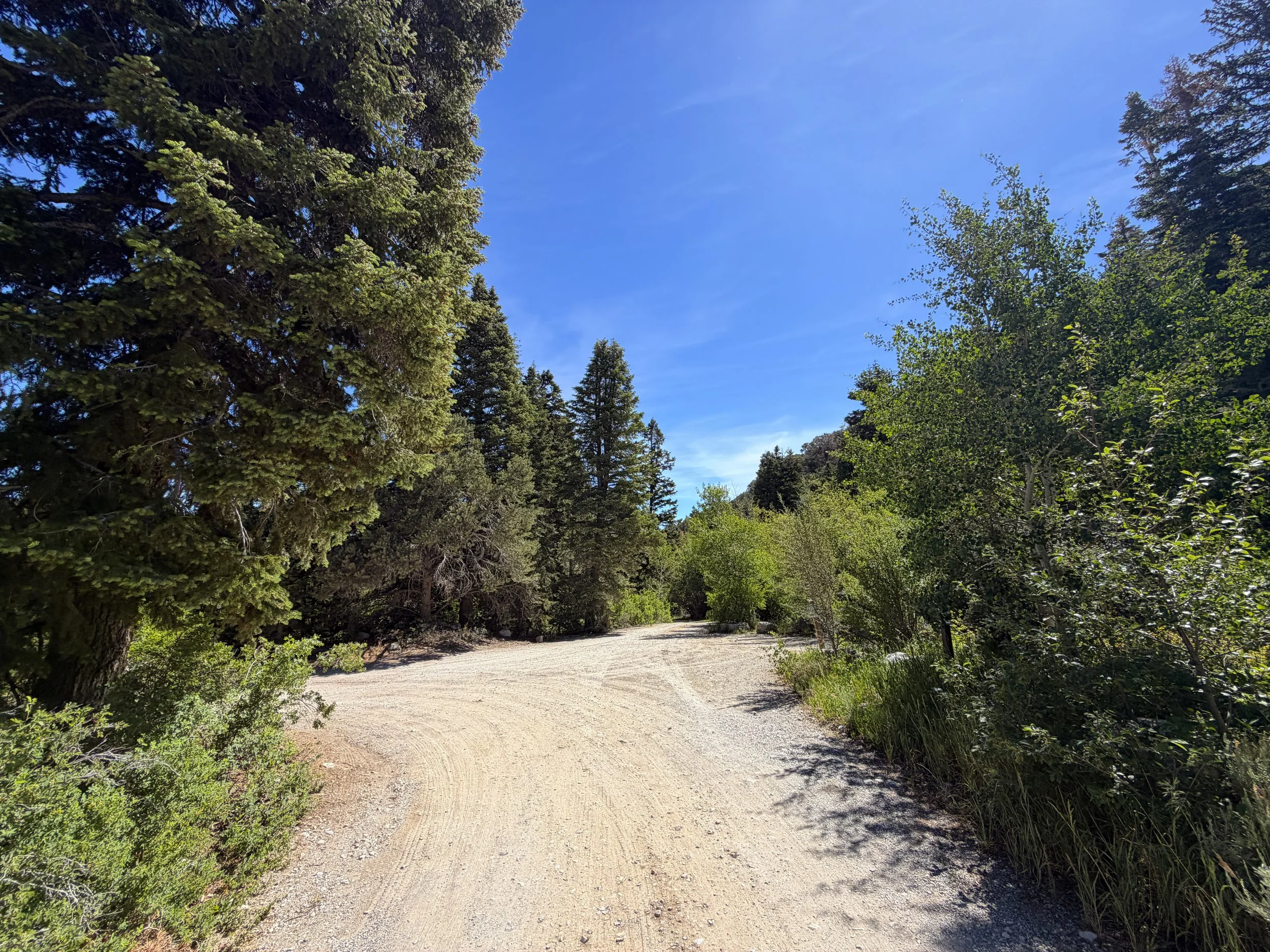 Baker Creek Campground Pole Canyon Trail Great Basin National Park Nevada
