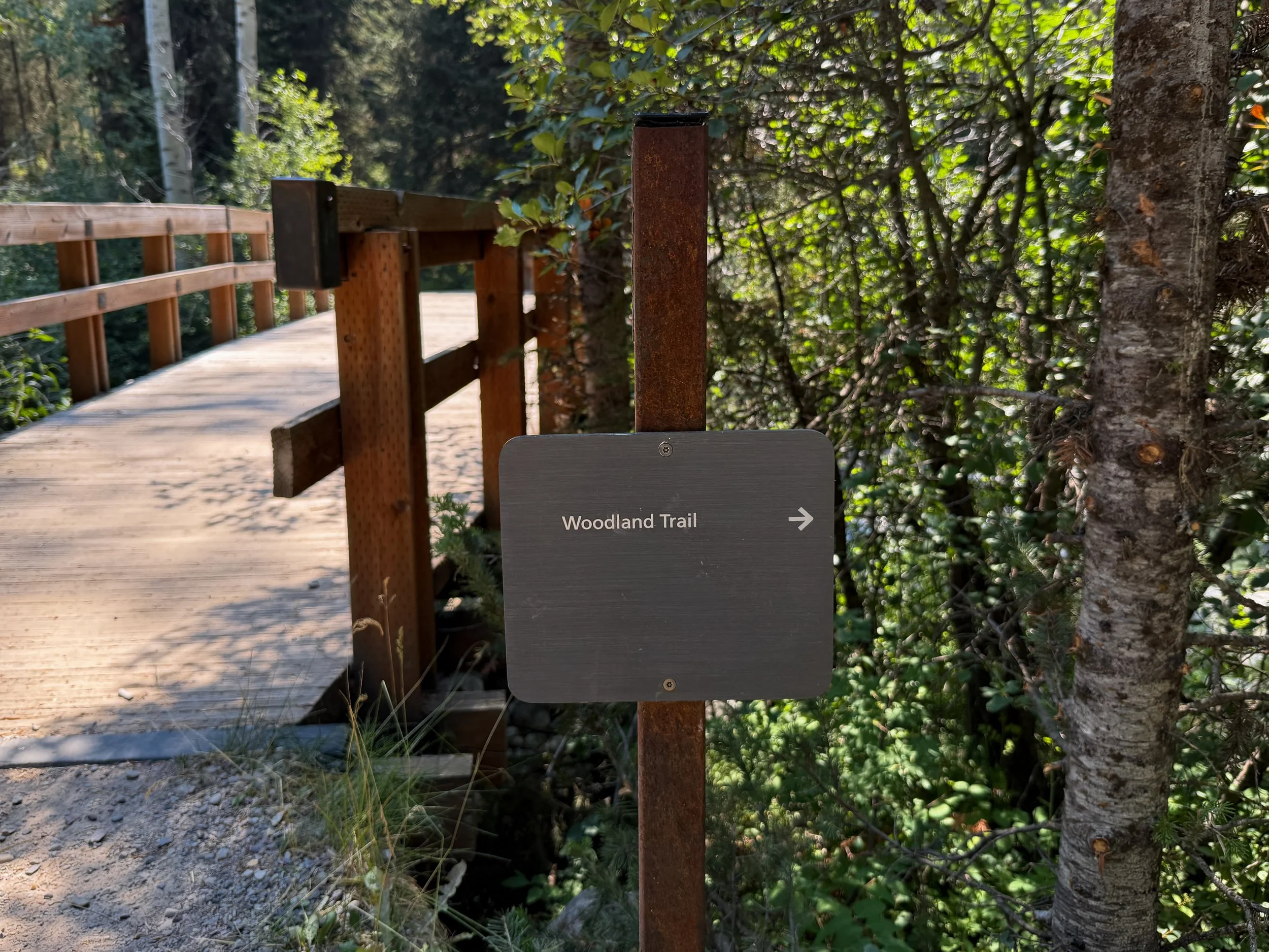 Phelps Lake Loop Trail Grand Teton National Park Wyoming