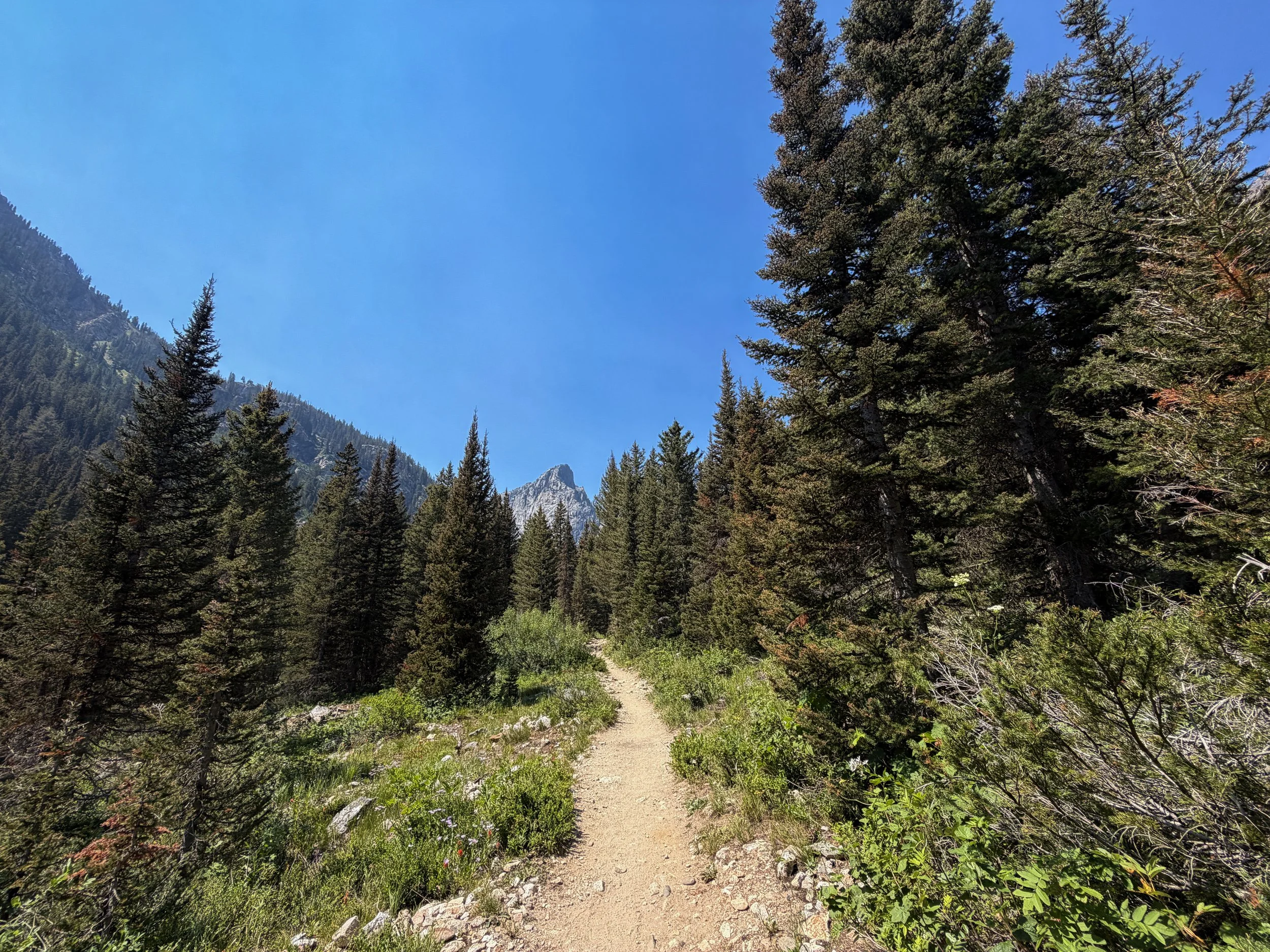 Cascade Canyon Trail Grand Teton National Park Wyoming