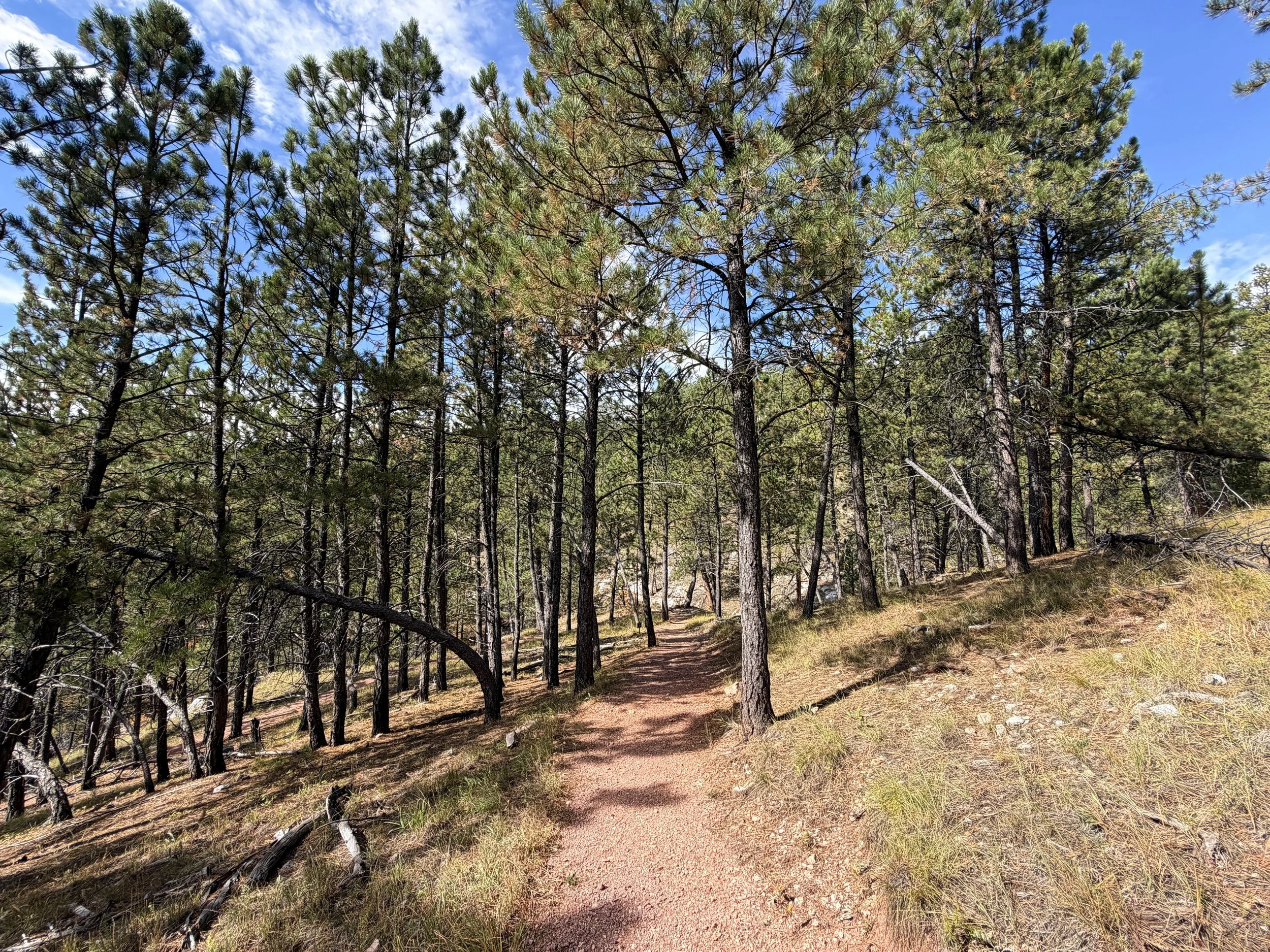 Canyons Trail Switchbacks Jewel Cave National Monument Black Hills South Dakota