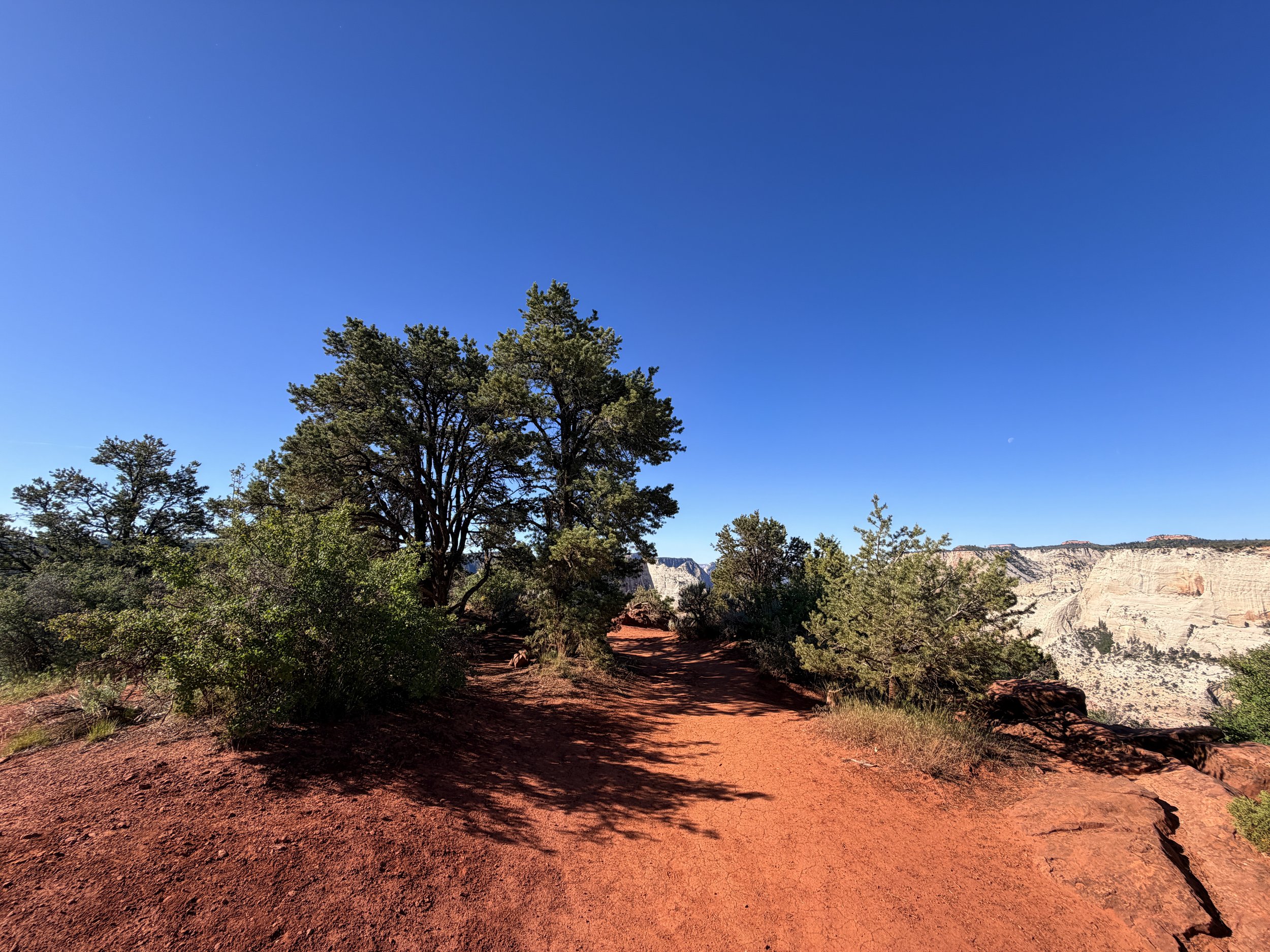 Observation Point Trail Zion National Park Utah