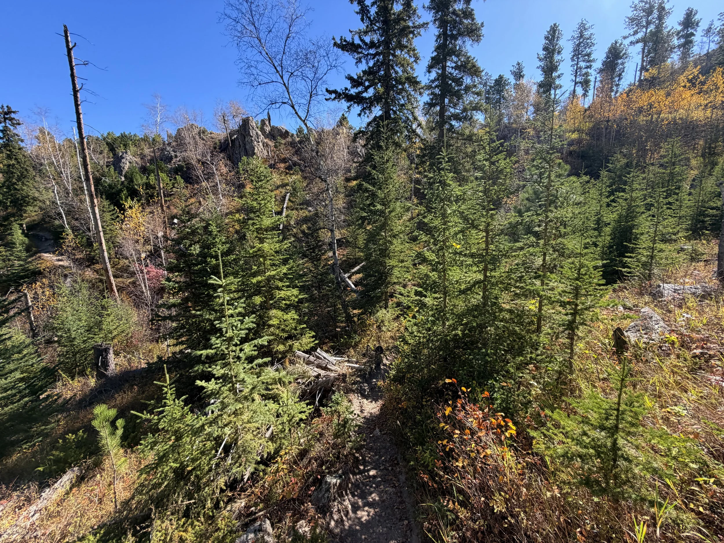 Sunday Gulch Trail Custer State Park Black Hills South Dakota