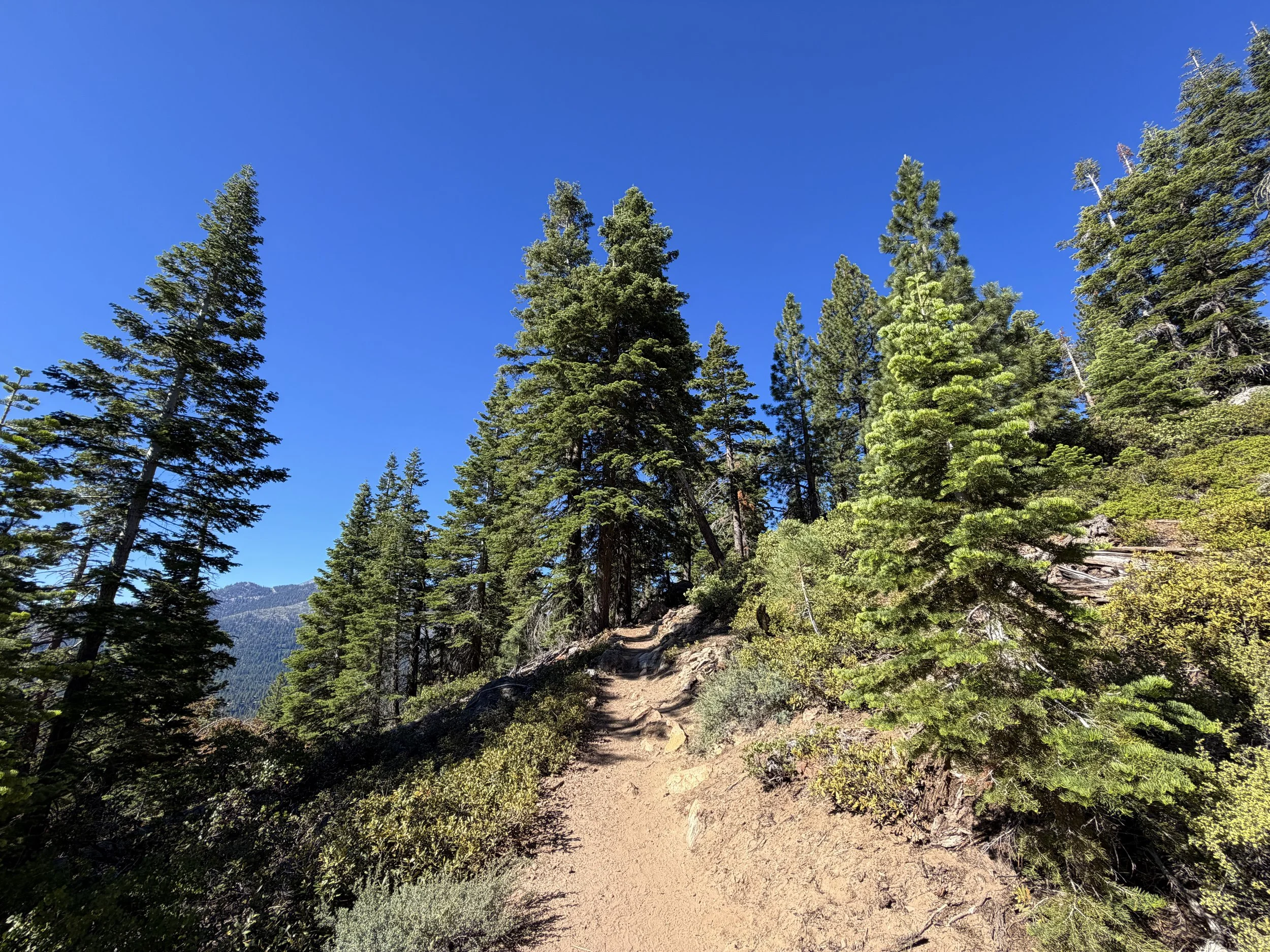 Castle Rock Hike Lake Tahoe Nevada
