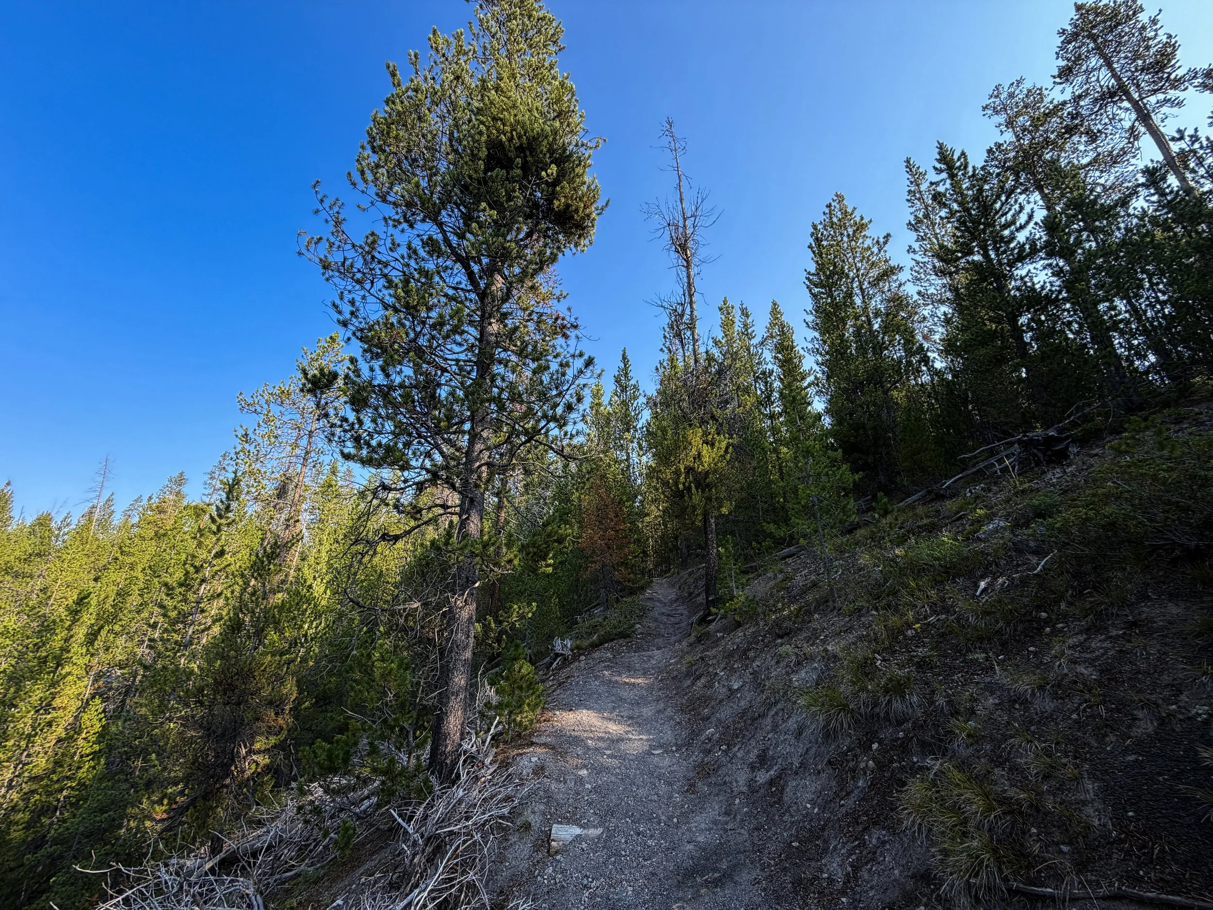 Natural Bridge Trail Yellowstone National Park Wyoming