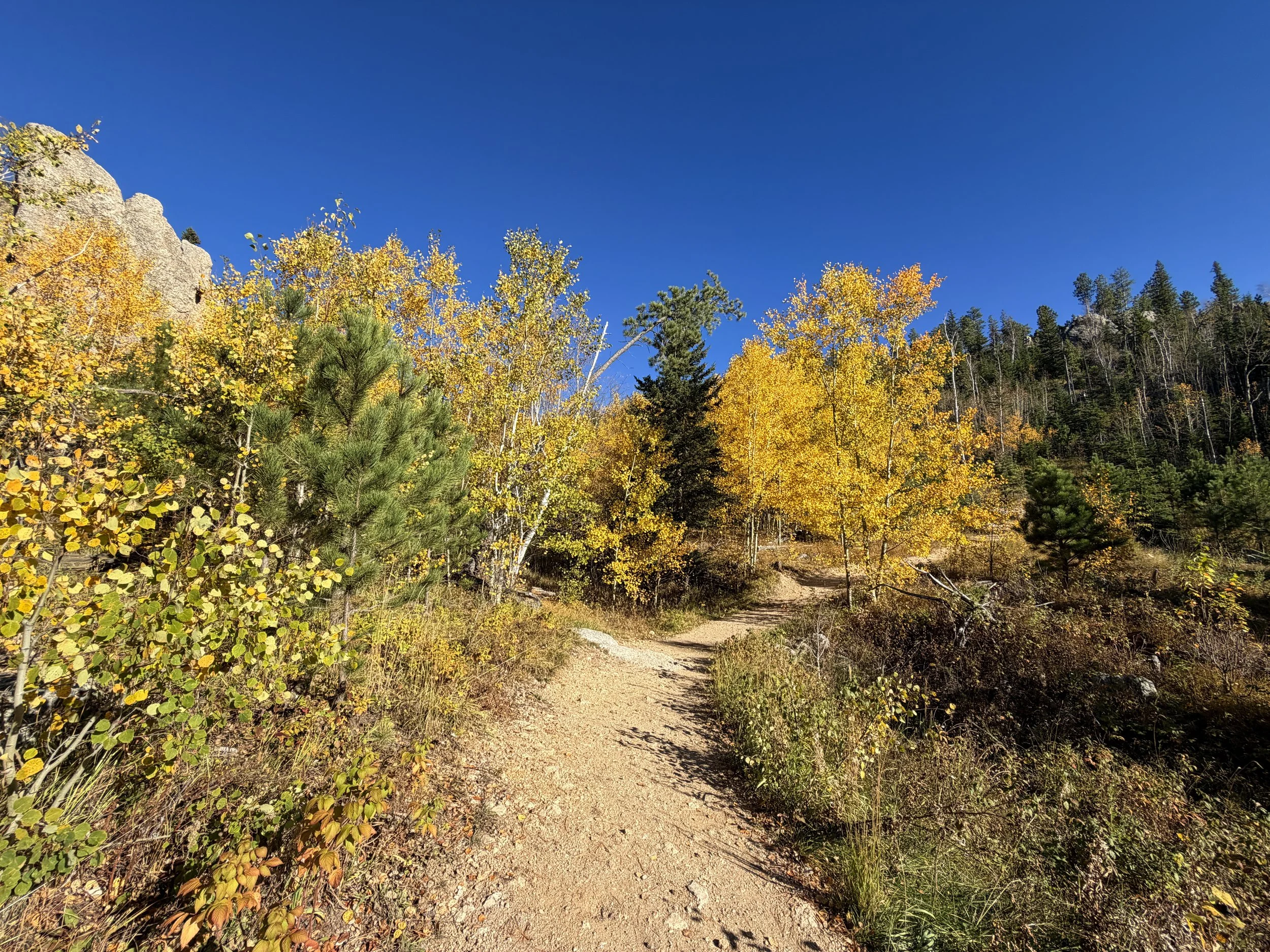 Little Devils Tower Trail Fall Colors Custer State Park Black Hills South Dakota