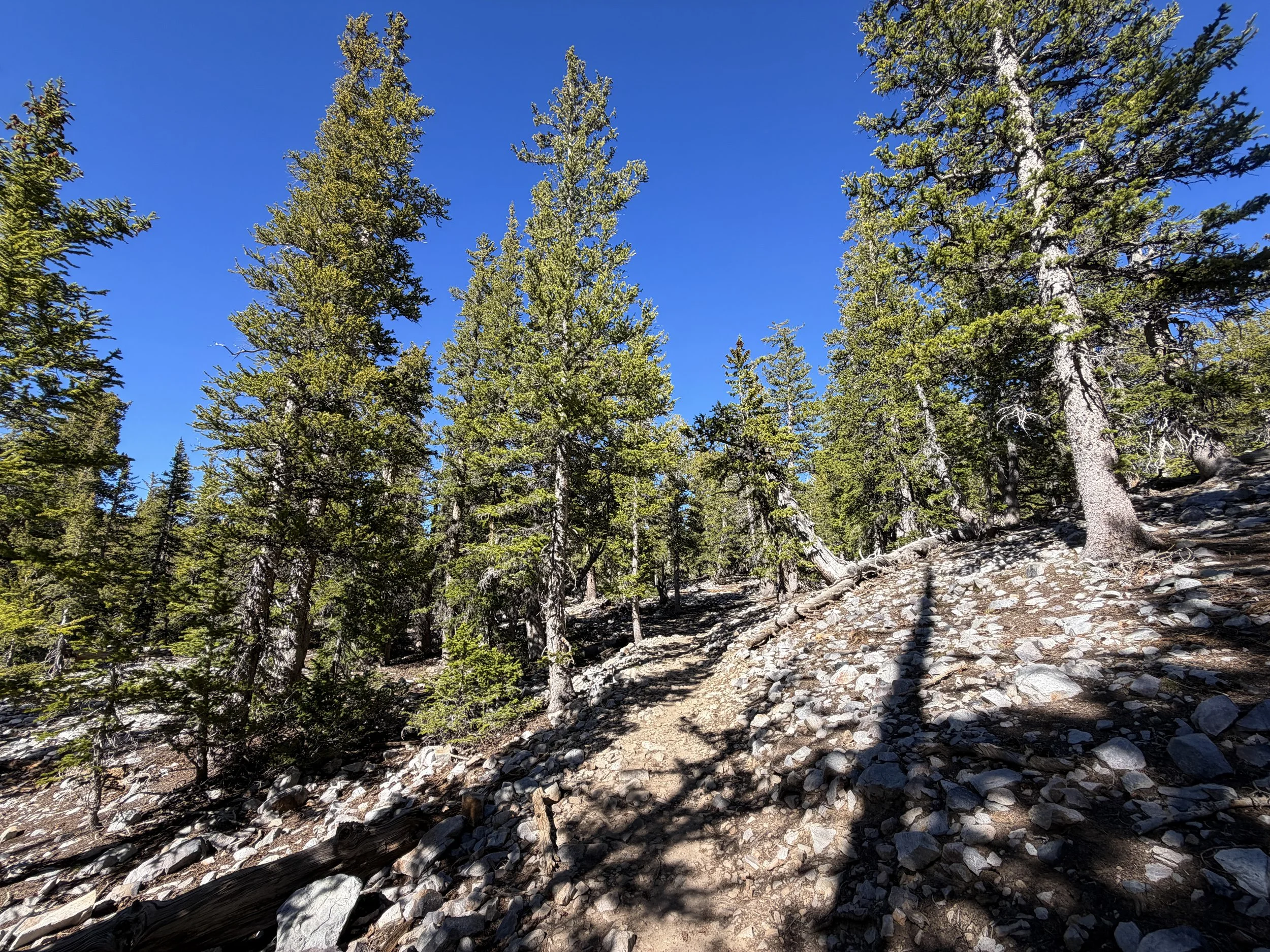 Alpine Lakes Loop Trail Great Basin National Park Nevada