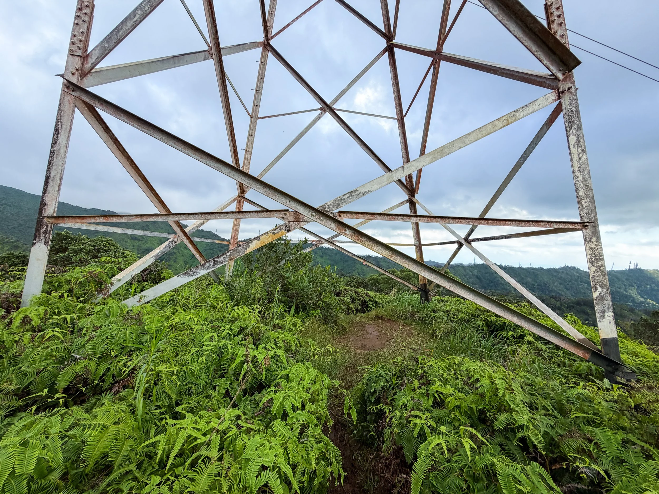Kaau Crater Loop Hike Oahu Hawaii