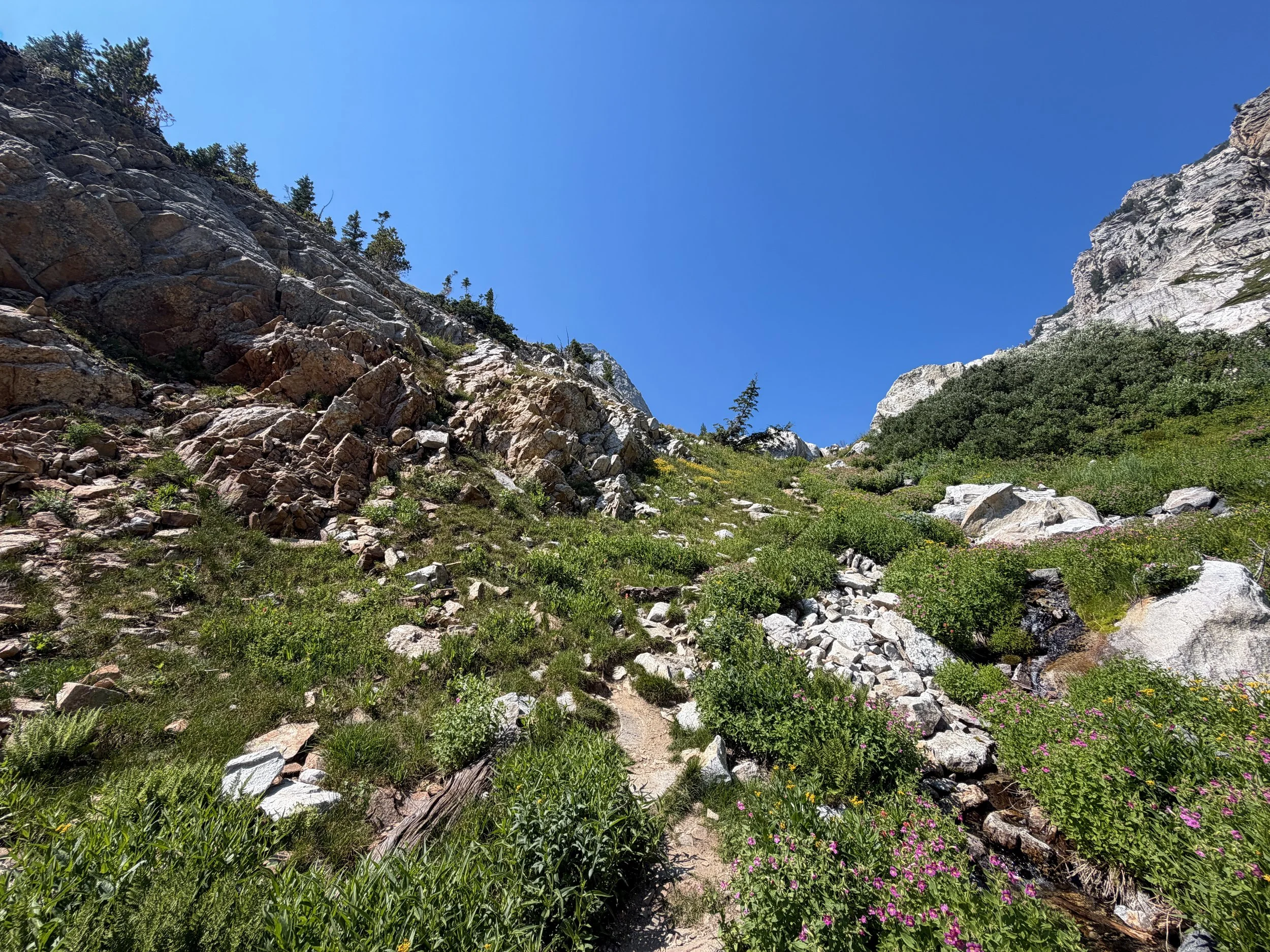 Lake of the Crags Trail Grand Teton National Park Wyoming
