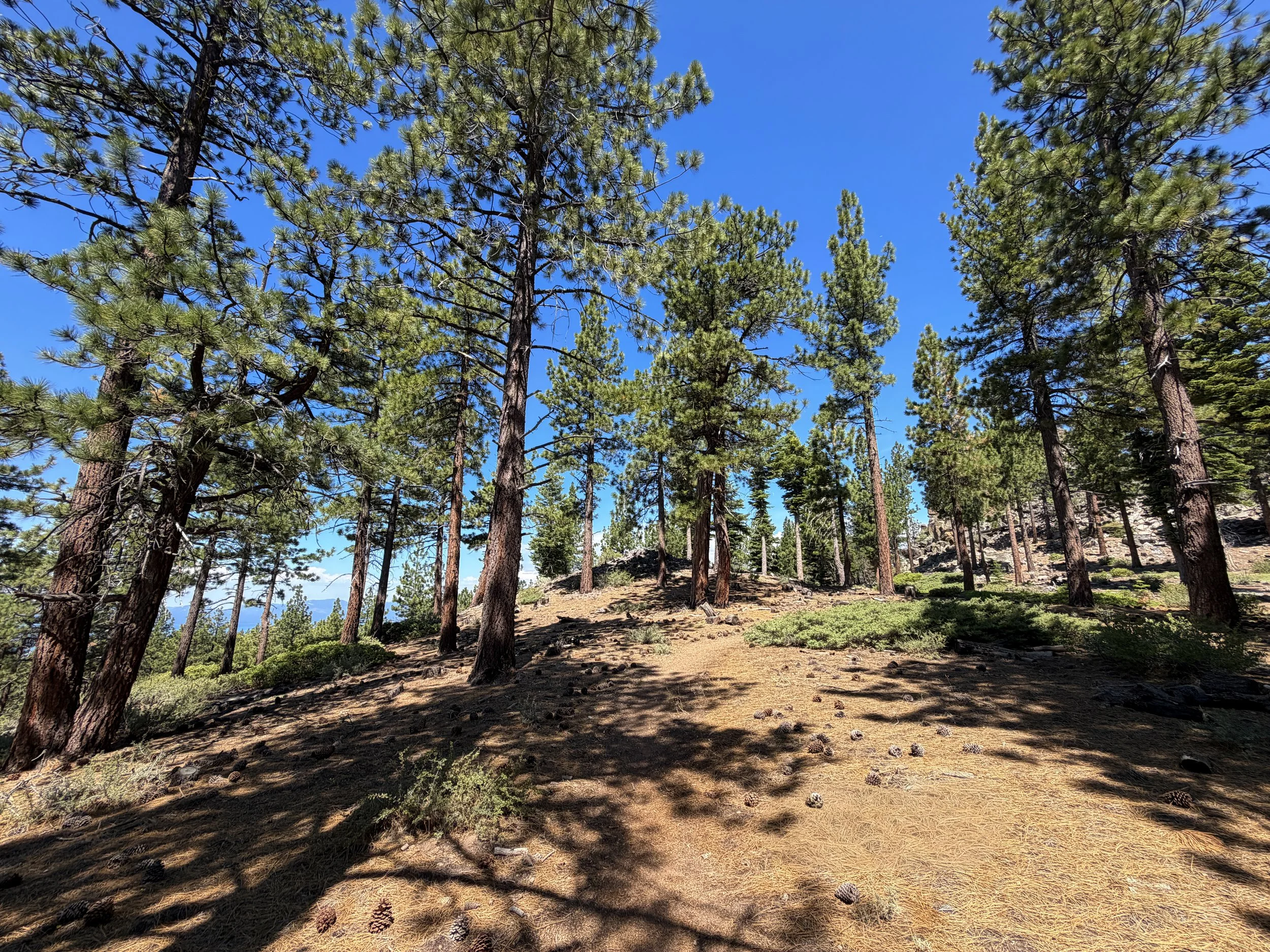 Captain Pomin Trail Lake Tahoe Nevada