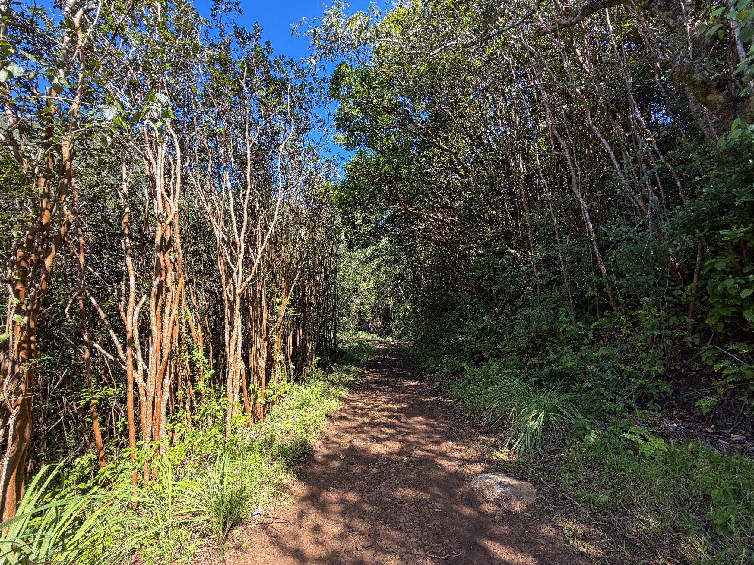 Kulanaahane Trail Oahu Hawaii