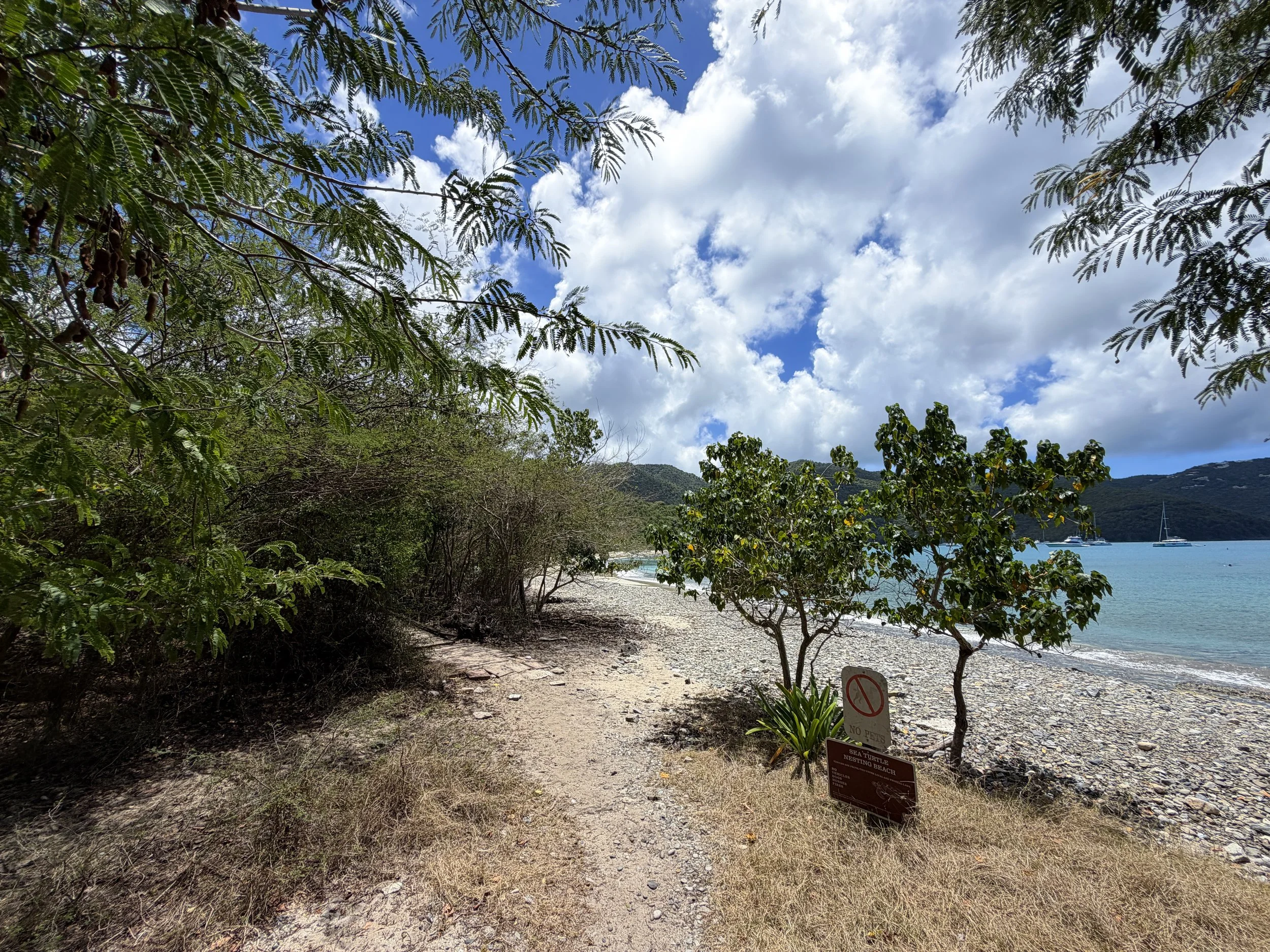 Francis Bay Loop Hike Virgin Islands National Park