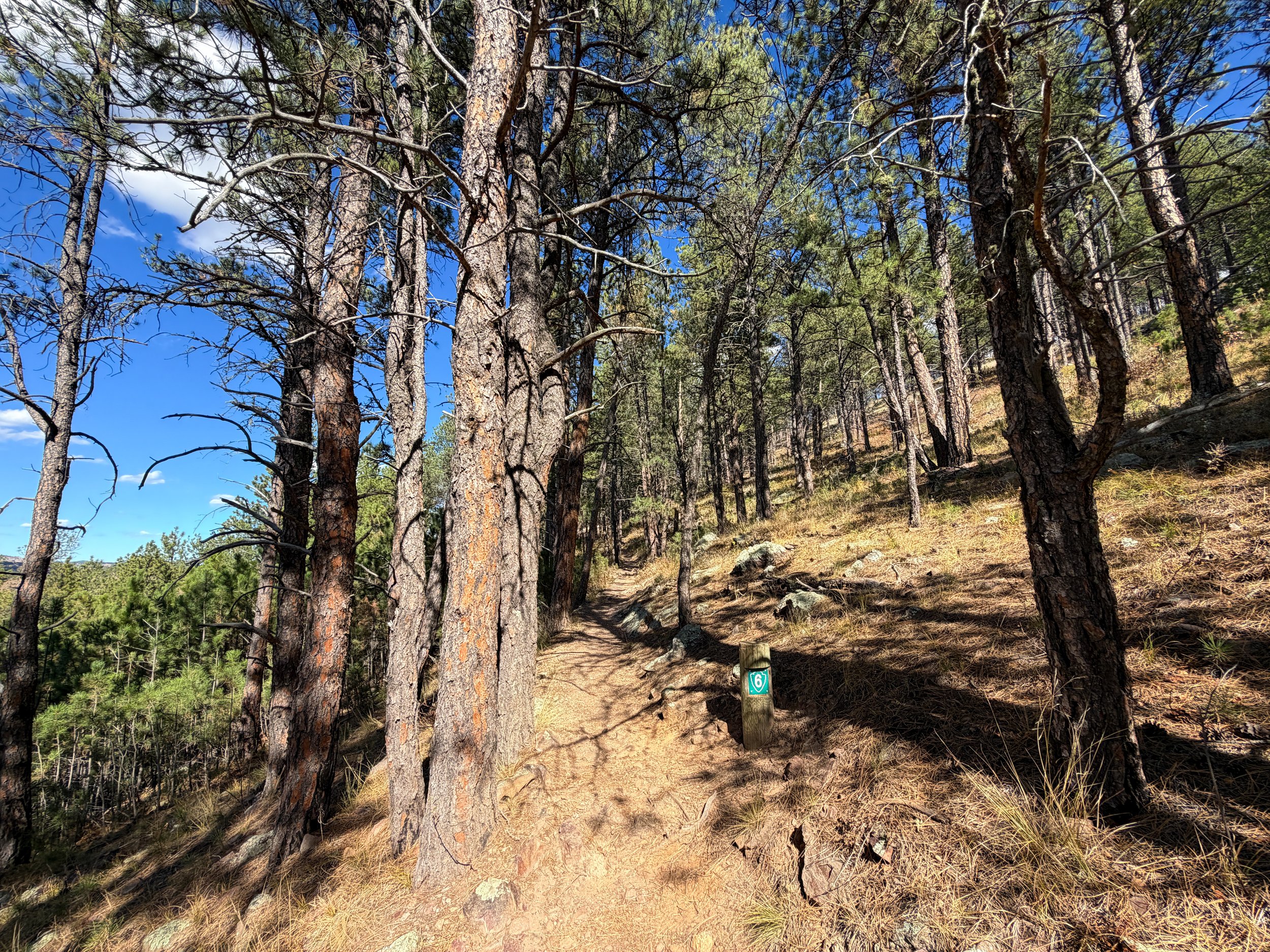 Rankin Ridge Nature Trail Wind Cave National Park South Dakota