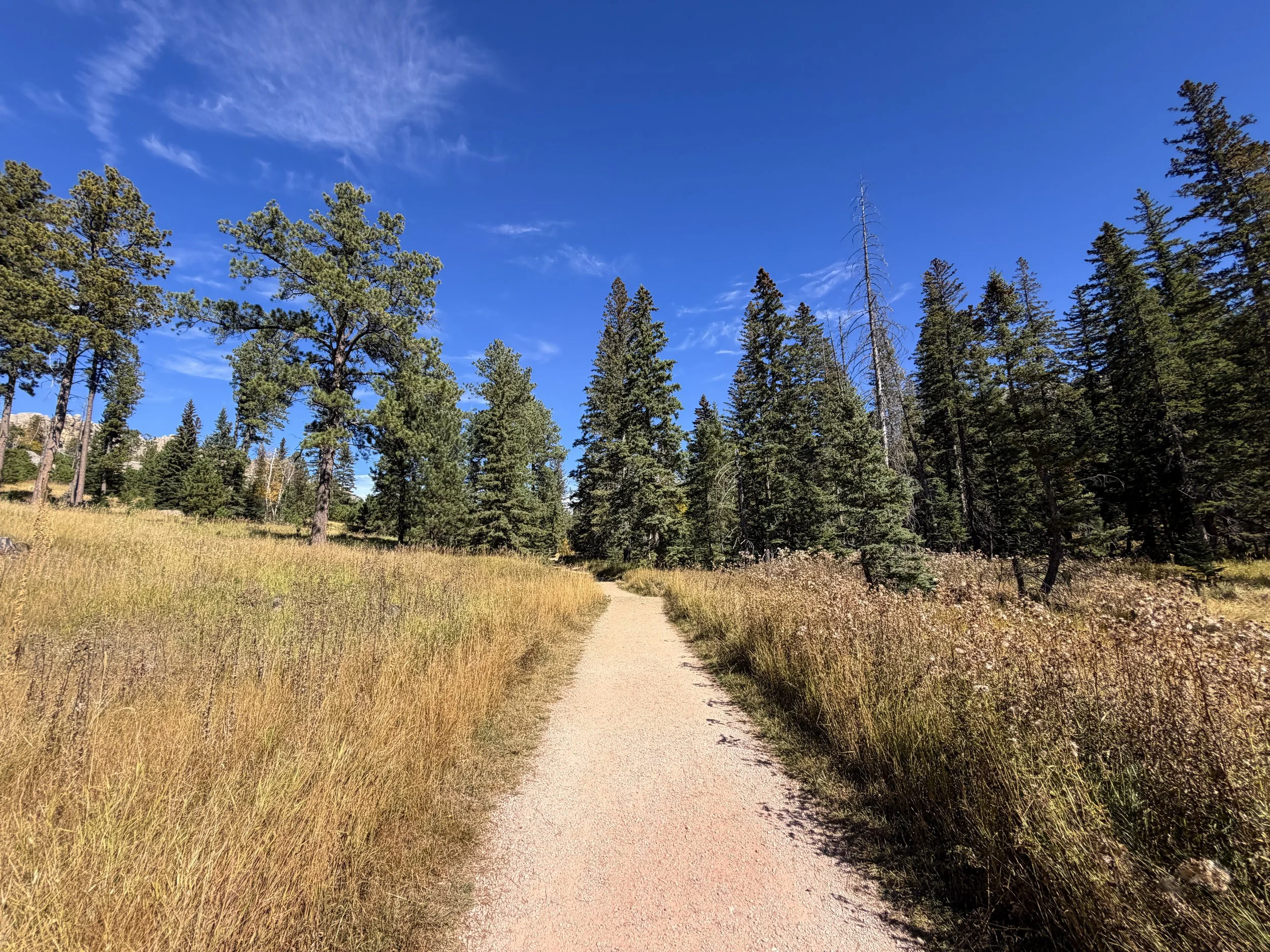 Black Elk Peak Trail Custer State Park Black Hills South Dakota