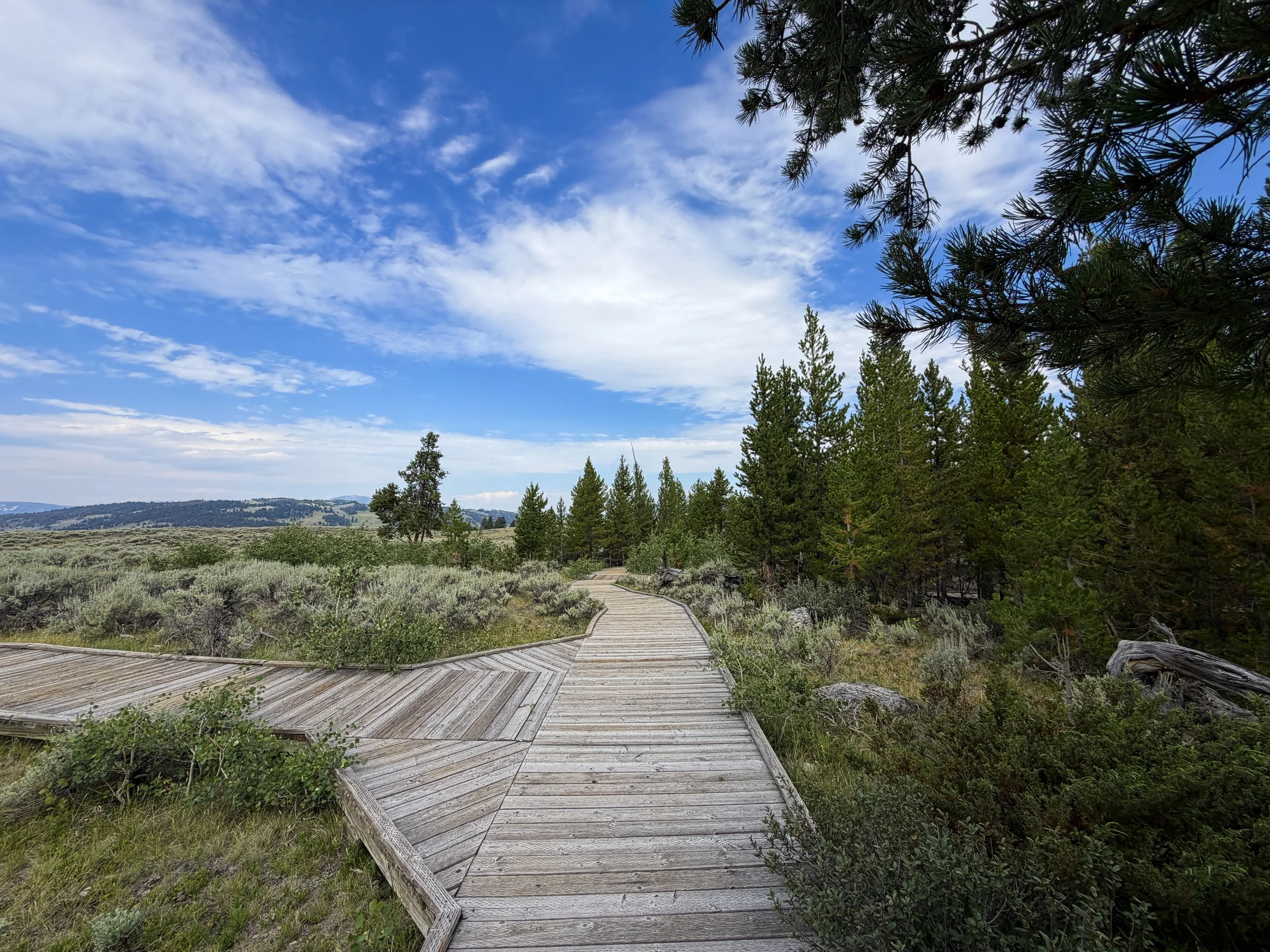 Forces of the Northern Range Trail Yellowstone National Park Wyoming