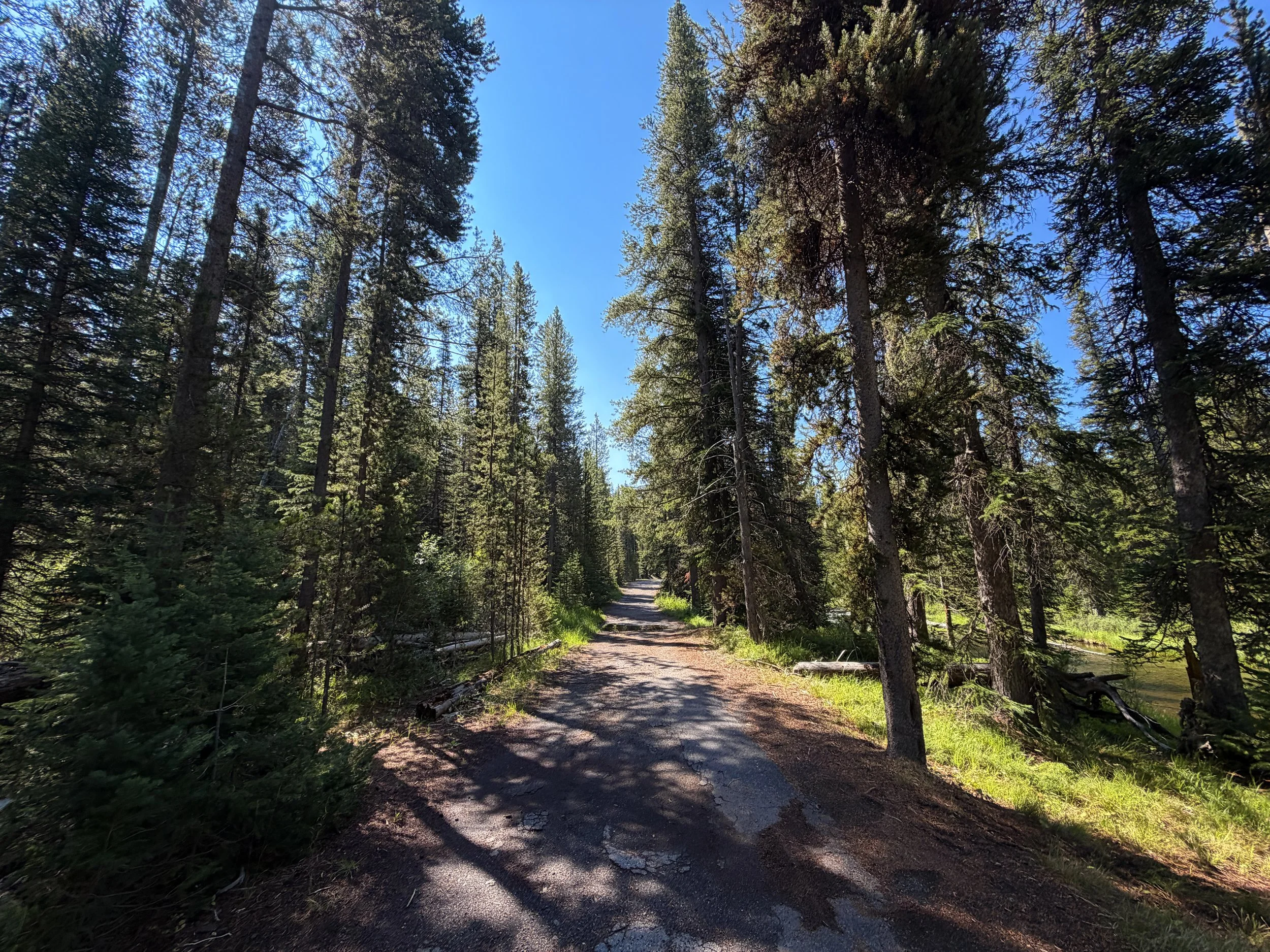 Lone Star Geyser Trail Yellowstone National Park Wyoming