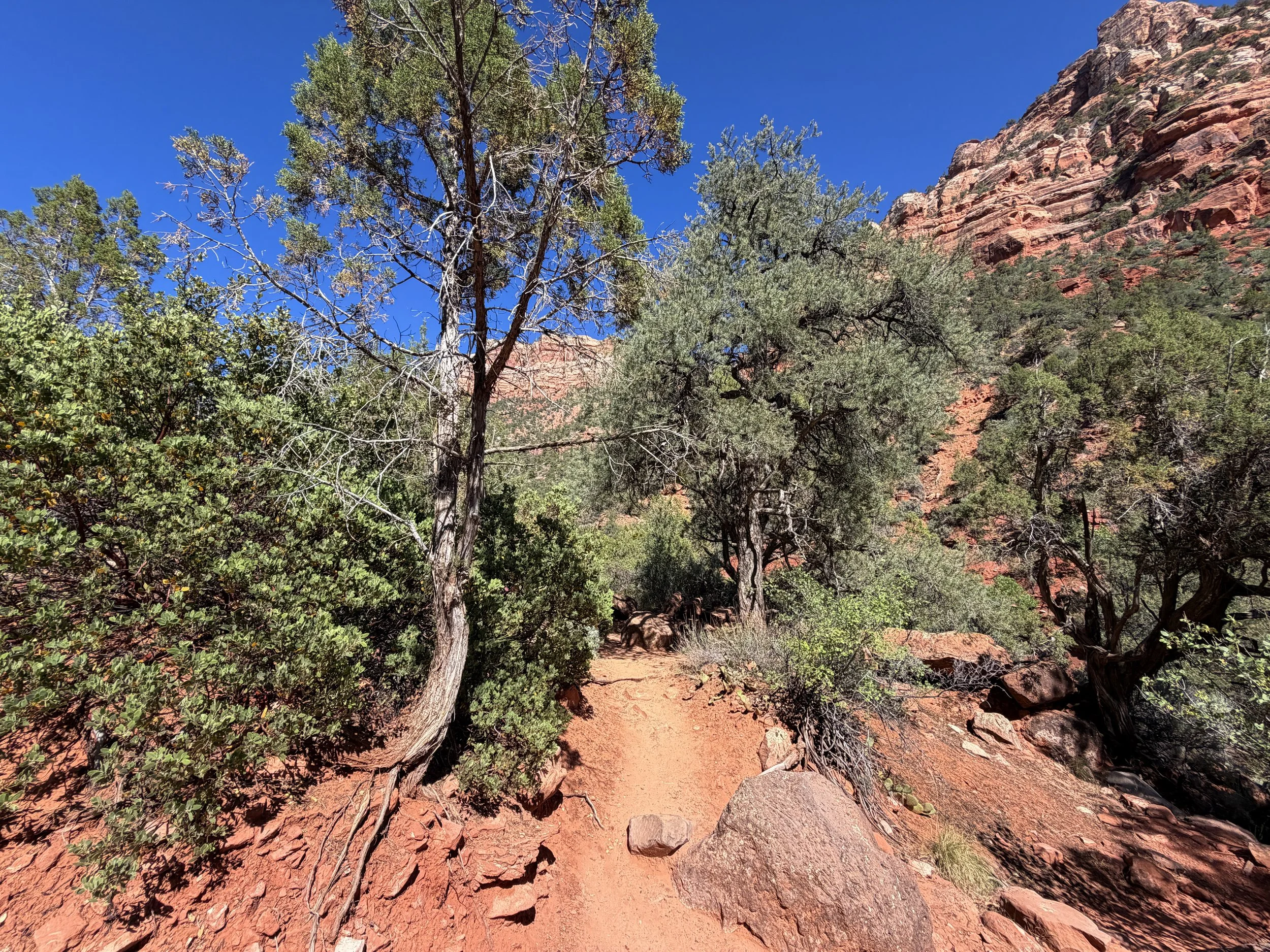 Subway Trail Bottom Up Route Zion National Park Utah