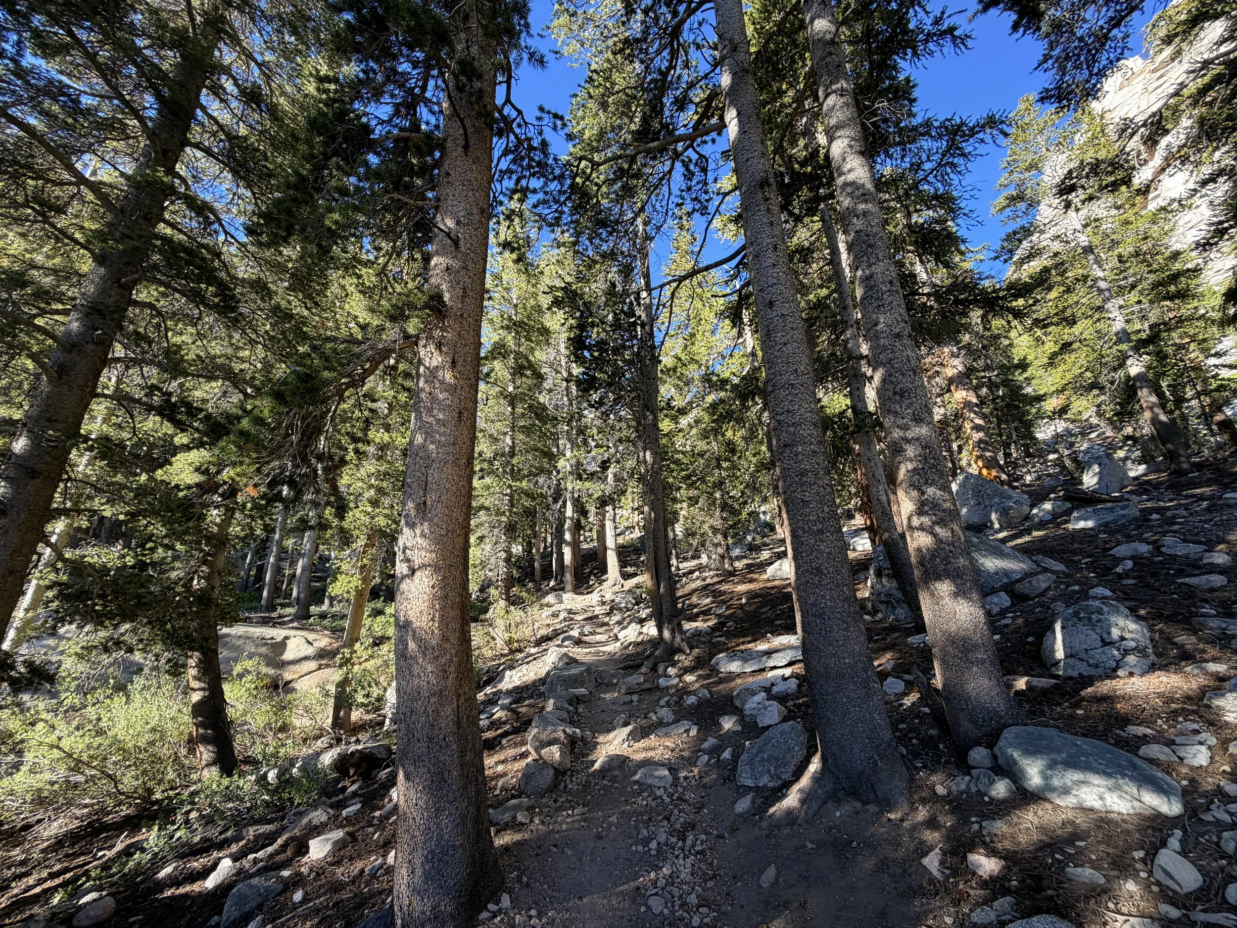 Mount Whitney Trail via Whitney Portal California