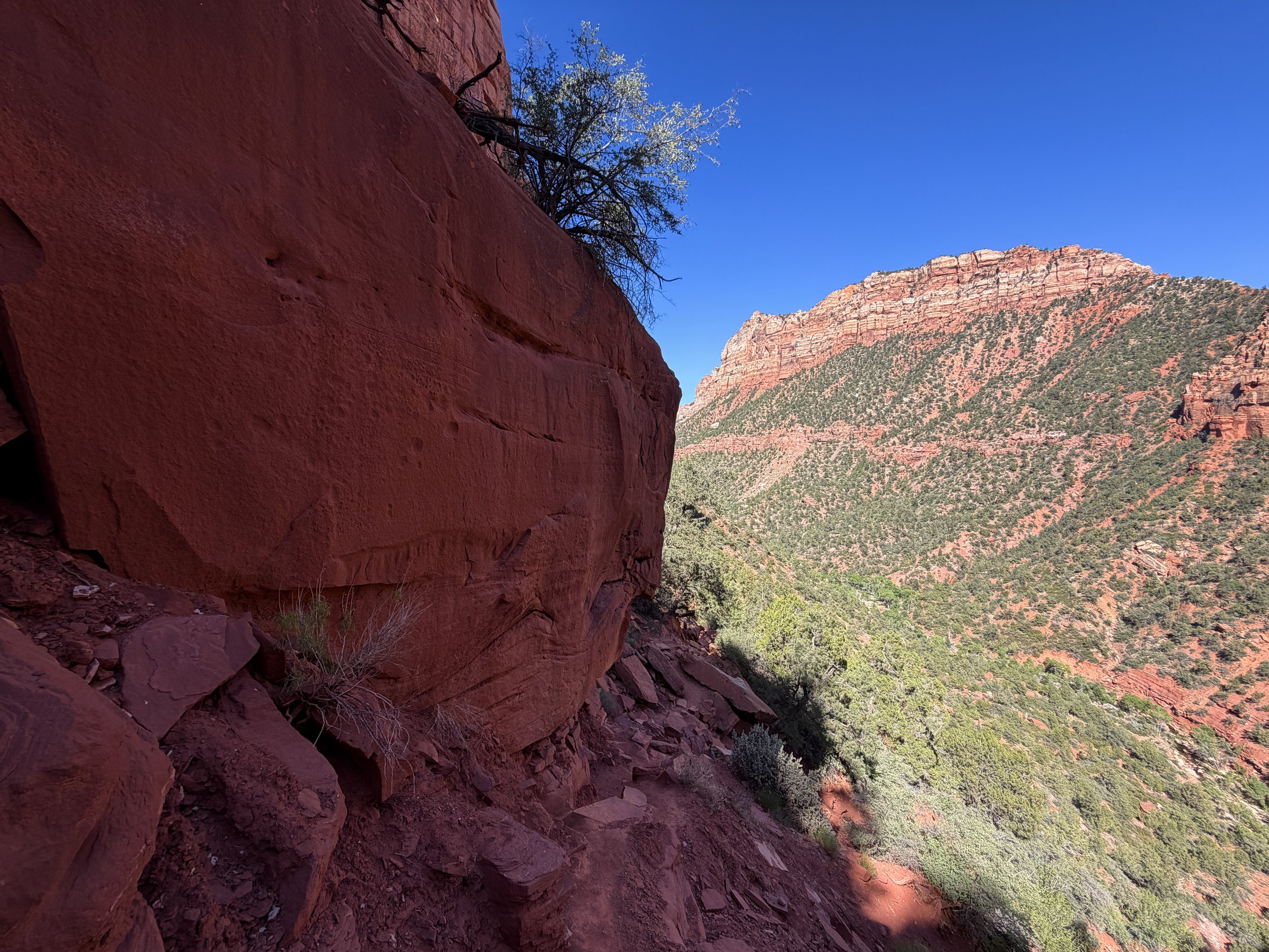 Left Fork Trail to Subway Zion National Park Utah