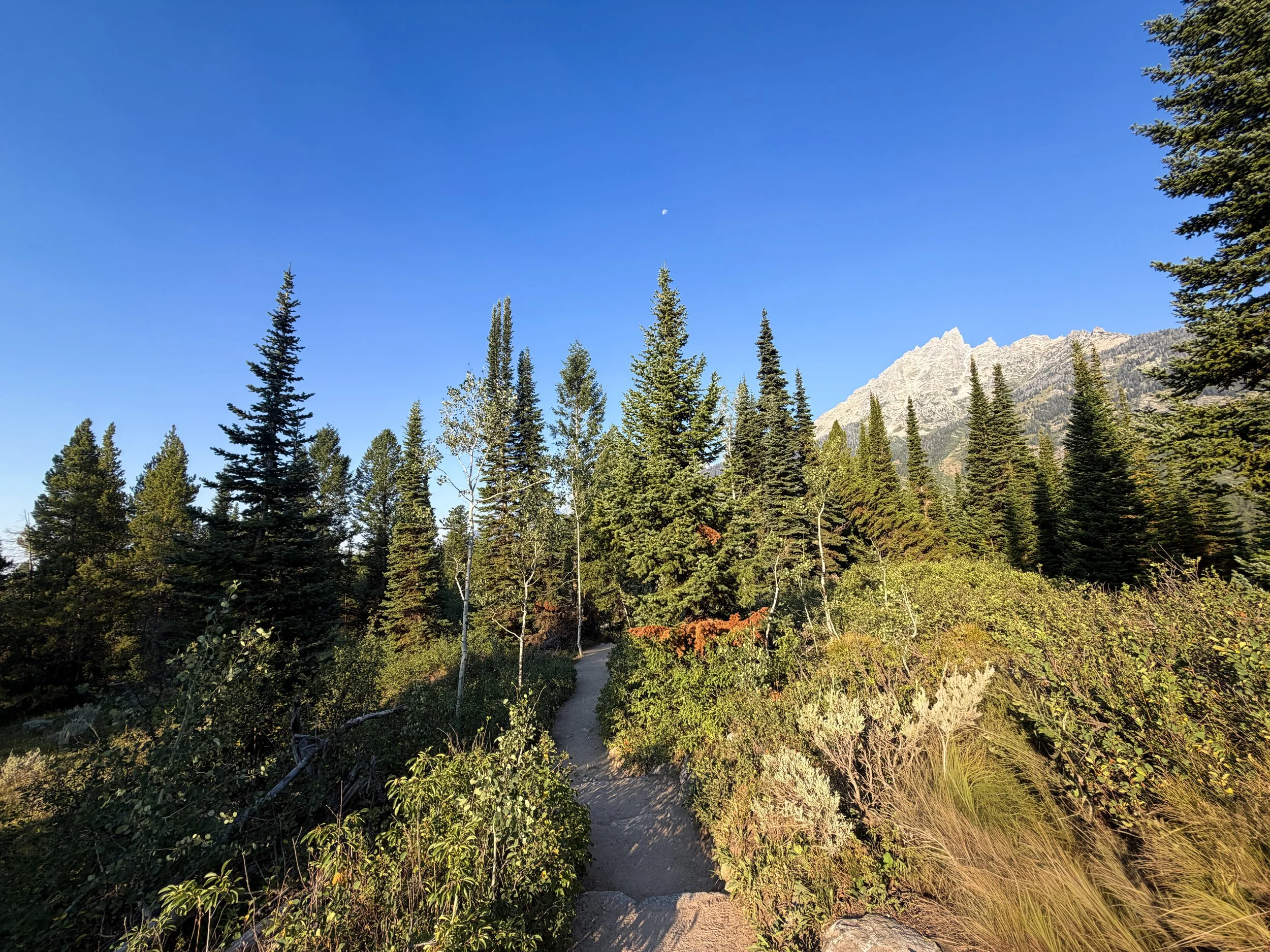 Hidden Falls Trail via Jenny Lake Grand Teton National Park Wyoming