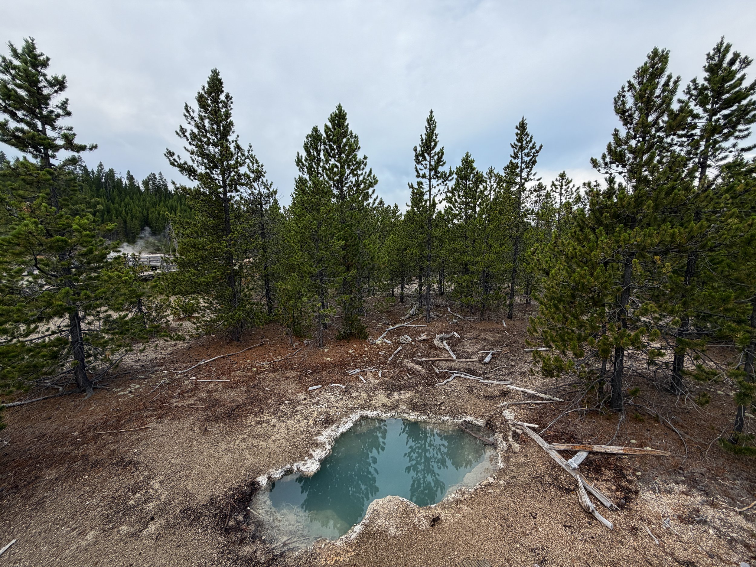 Whales Mouth Norris Geyser Basin Trail Yellowstone National Park Wyoming