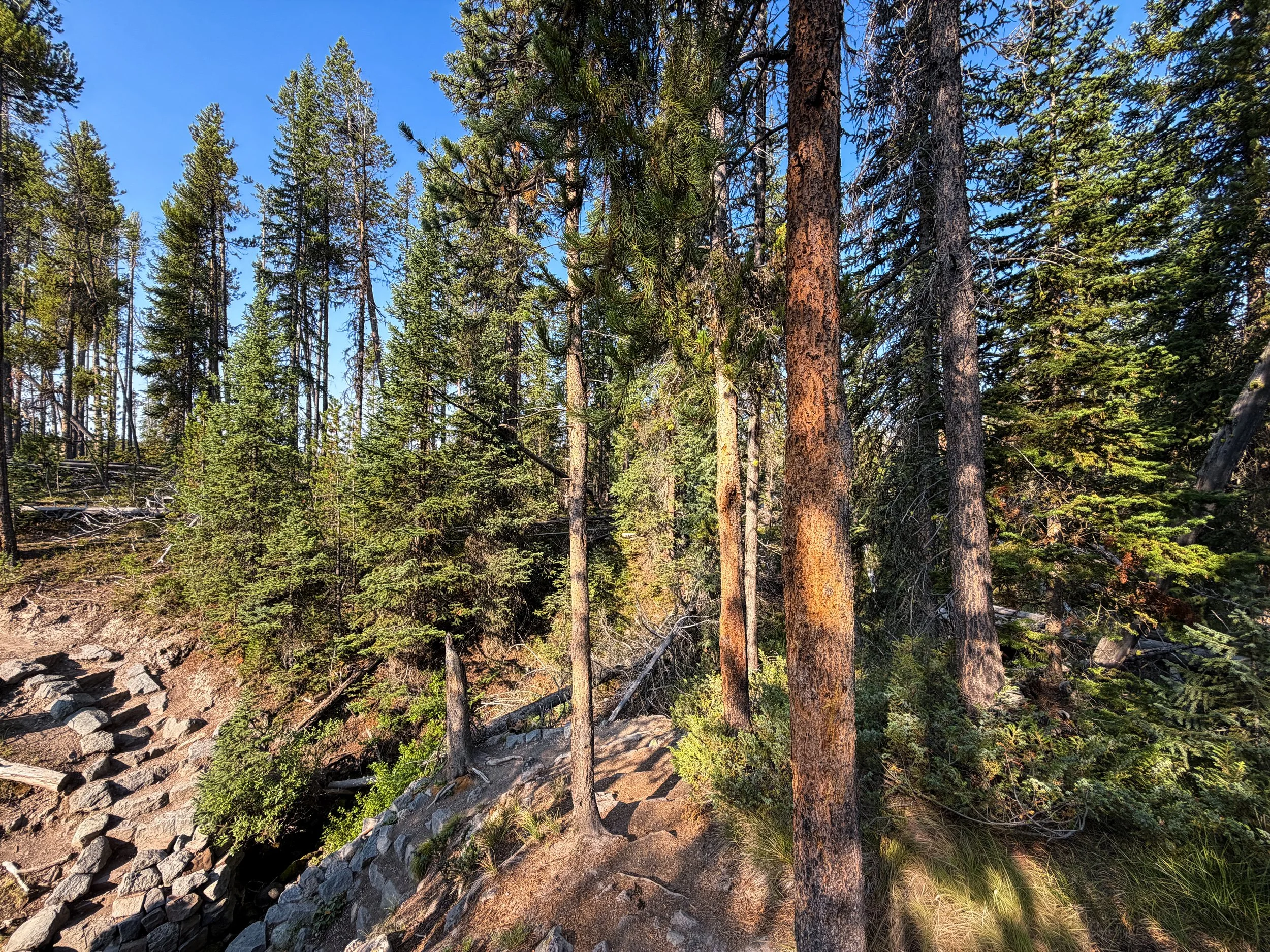 Natural Bridge Trail Yellowstone National Park Wyoming