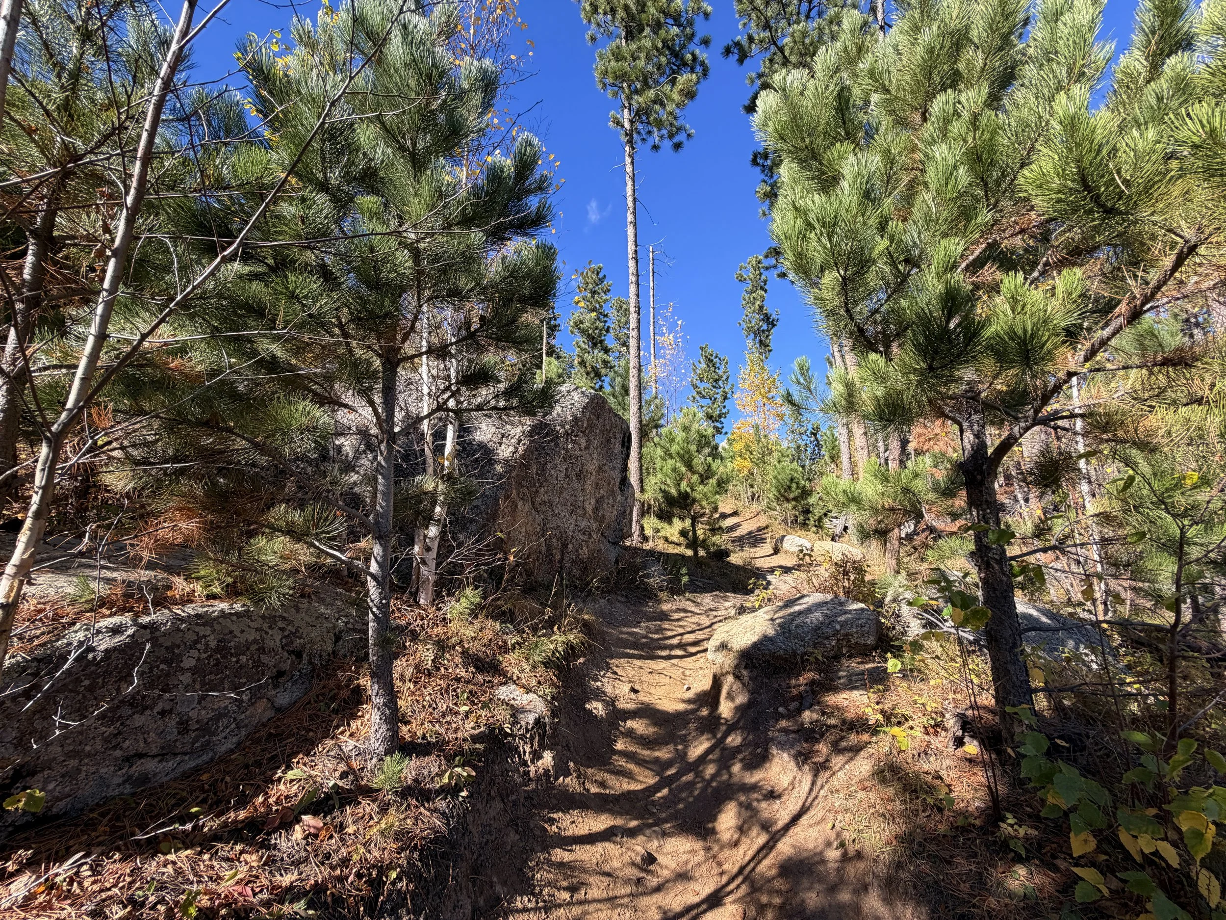 Cathedral Spires Trail Custer State Park Black Hills South Dakota