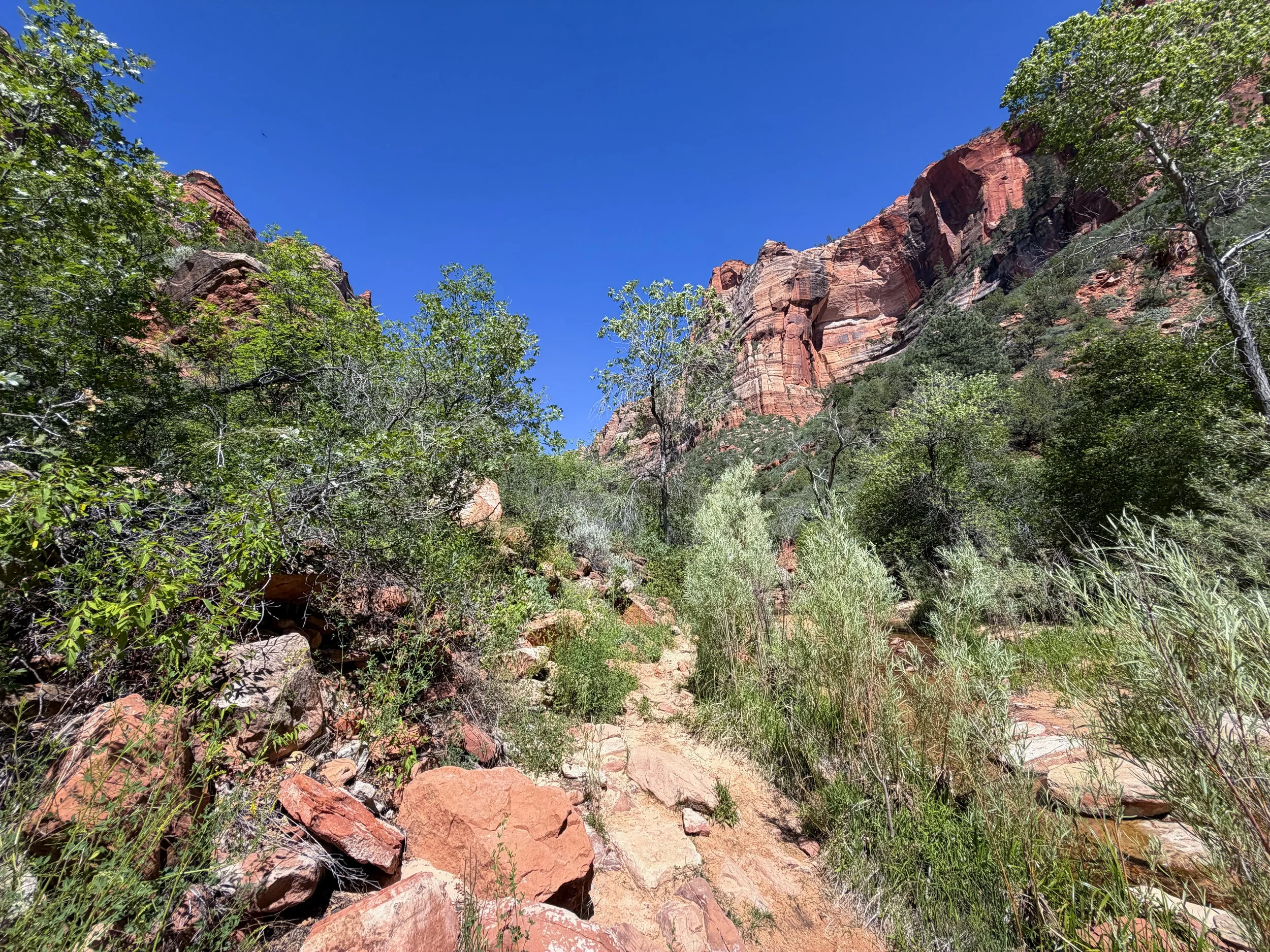 Subway Trail Left Fork North Creek Zion National Park Utah