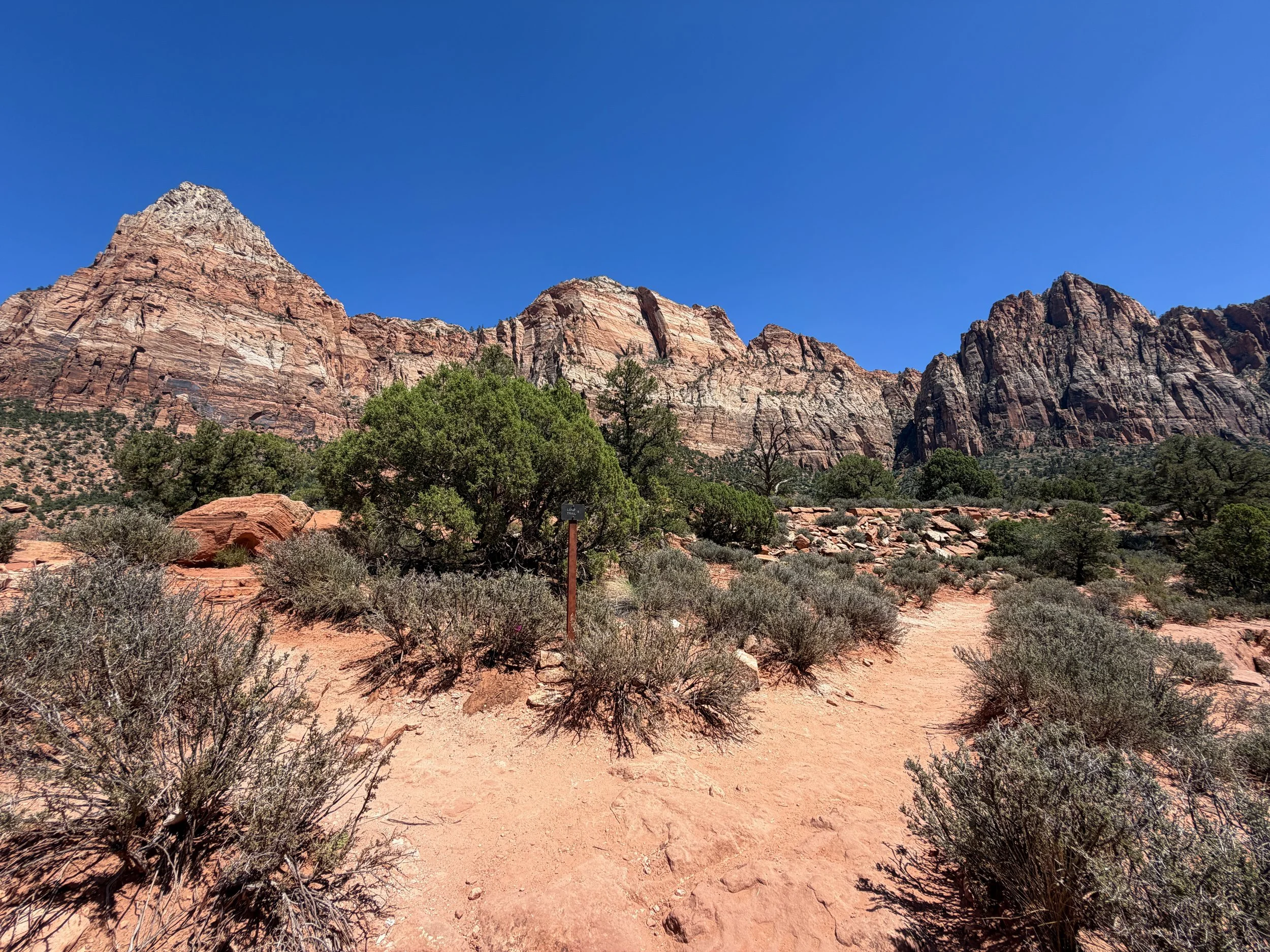 Watchman Loop Hike Zion National Park Utah
